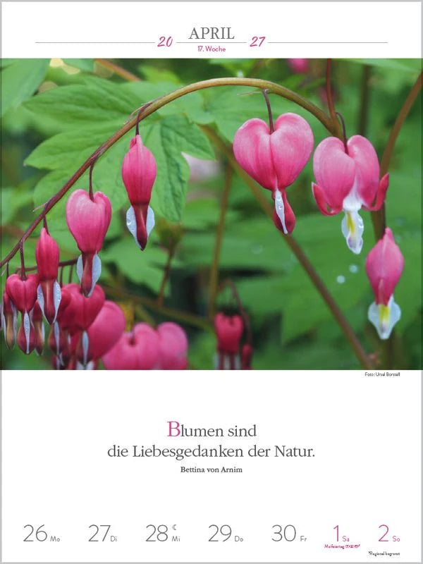 Literaturkalender Gartenlust 2027 – Ansicht
