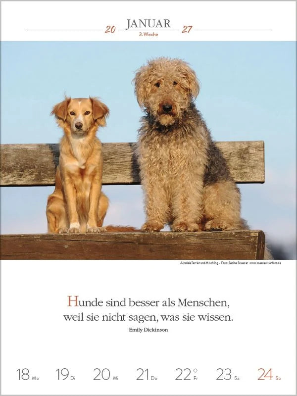 Literaturkalender Hunde 2027 – Ansicht