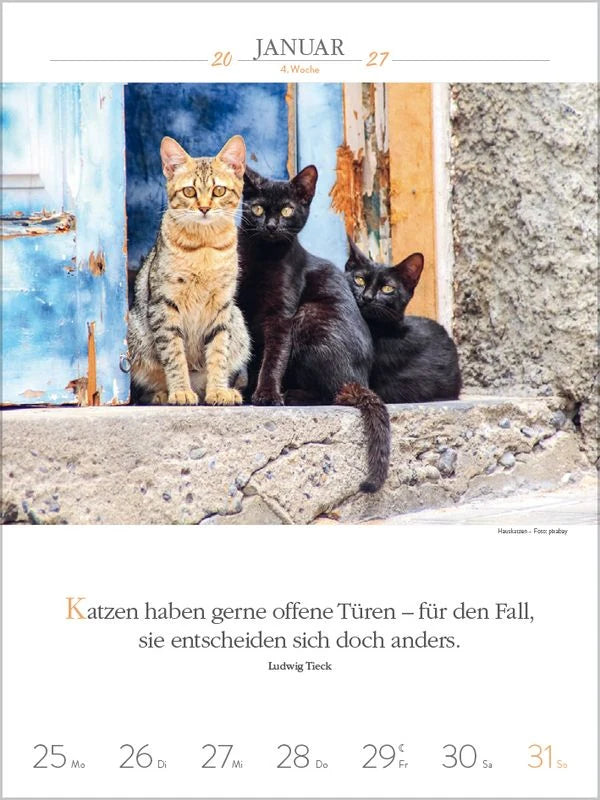 Literaturkalender Katzen 2027 – Ansicht