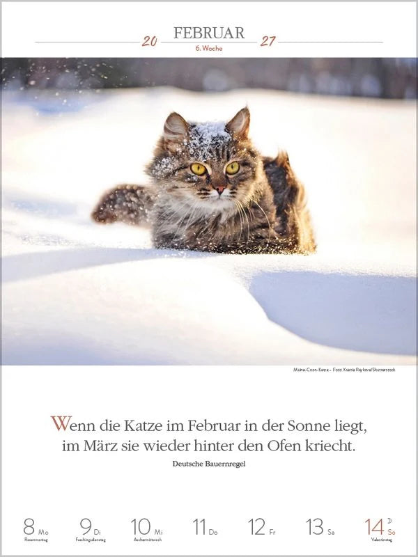 Literaturkalender Katzen 2027 – Ansicht