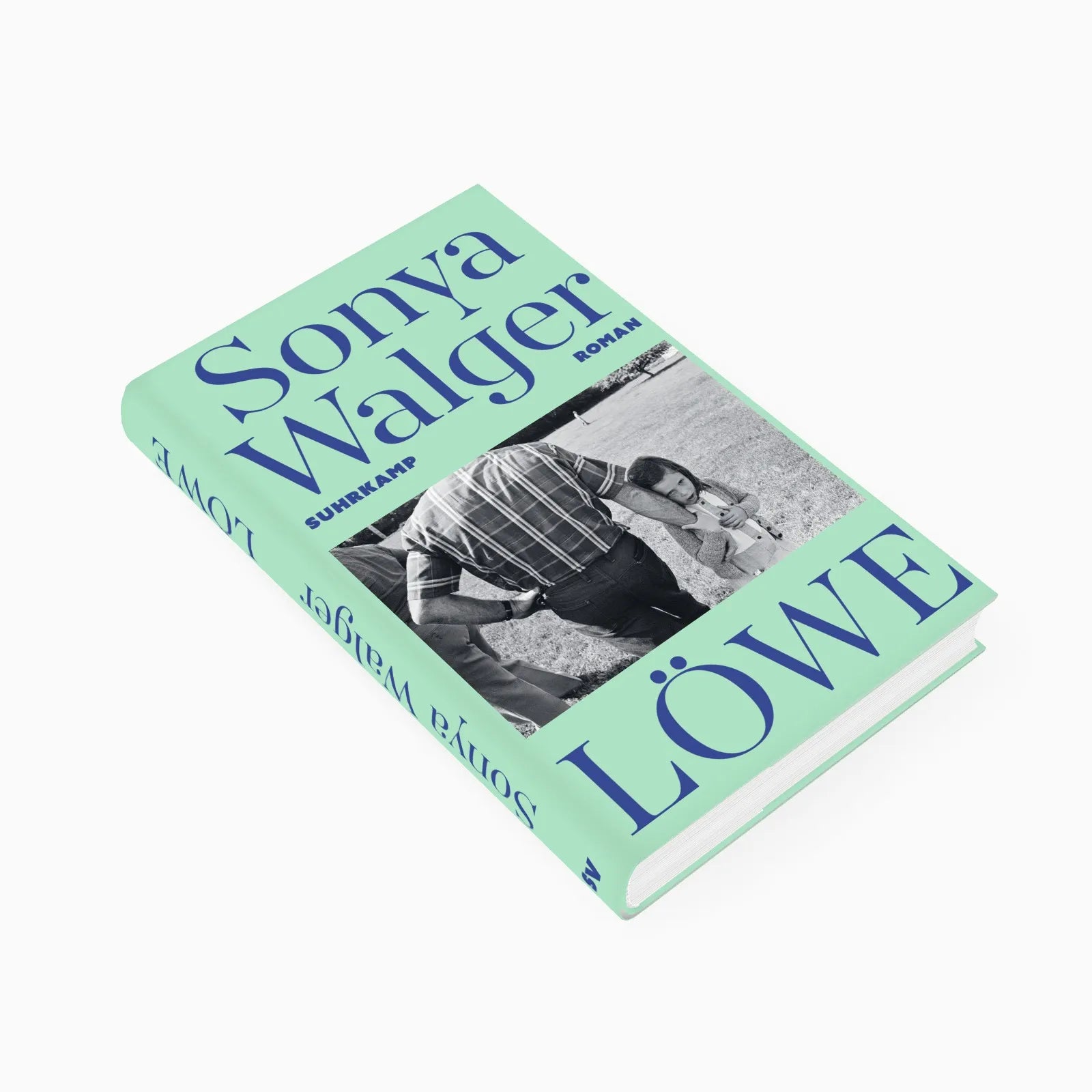 Detailansicht: Löwe (Hardcover)