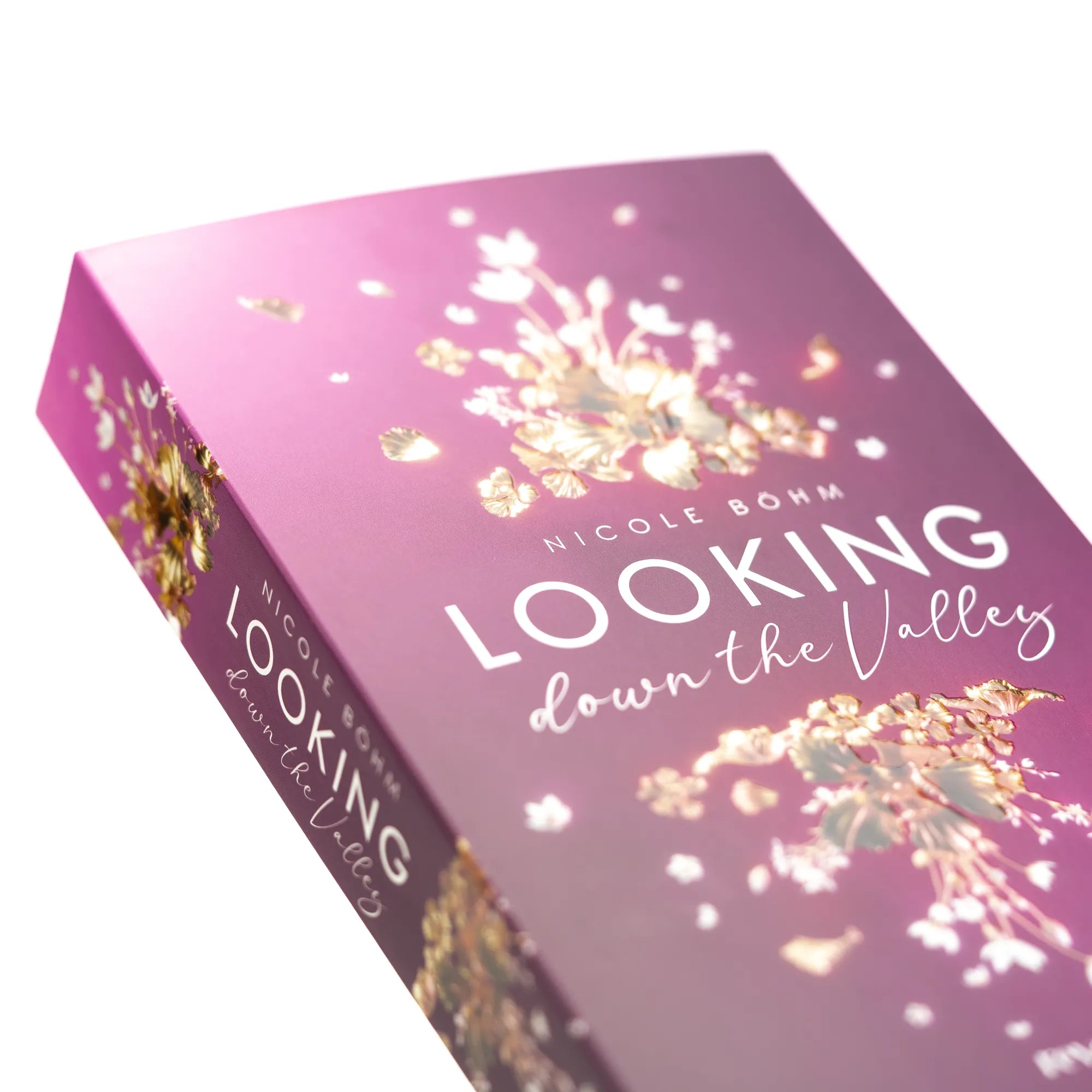 Detailansicht: Looking down the Valley (Paperback)
