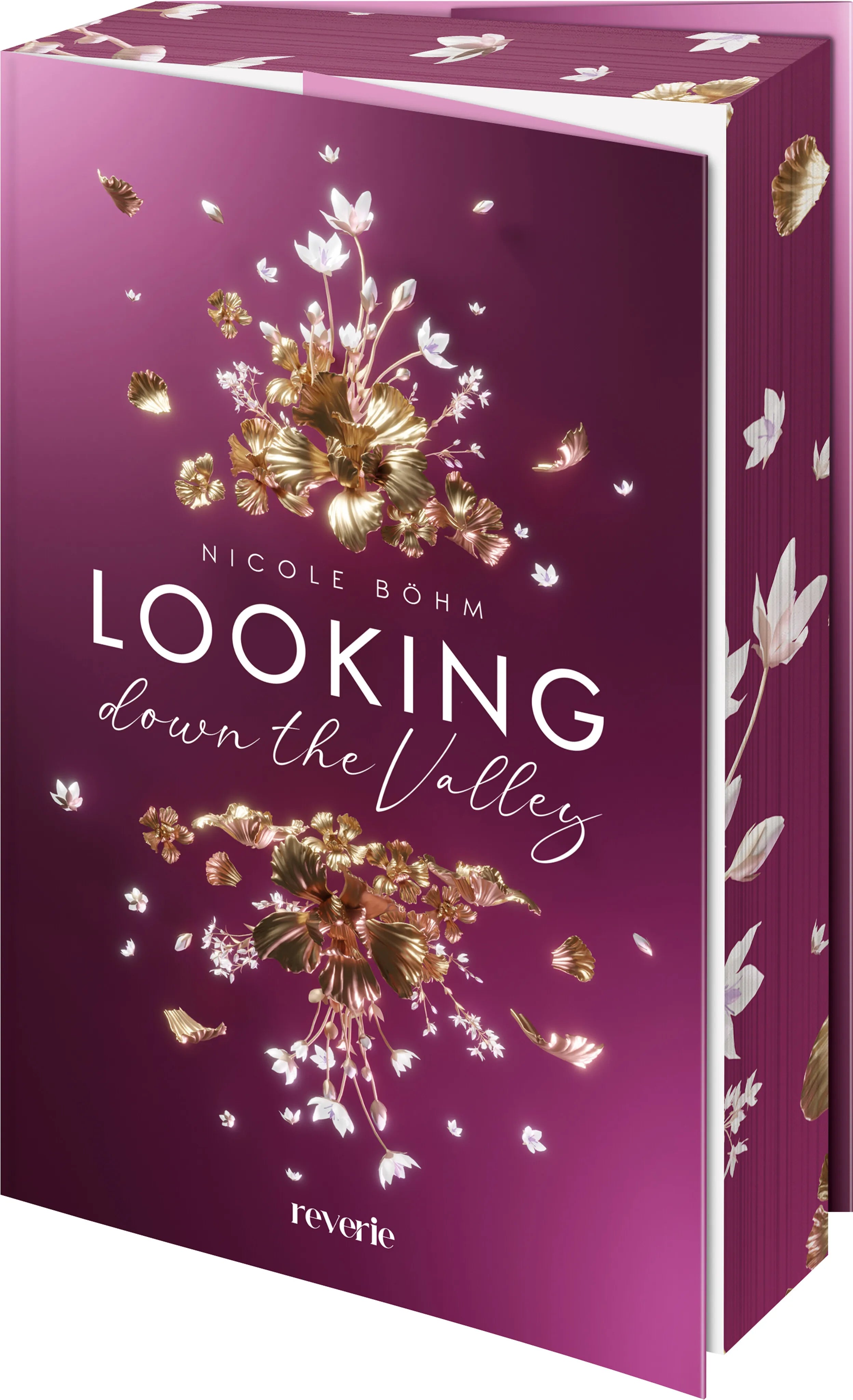 Cover: Looking down the Valley (Paperback) von Nicole Böhm