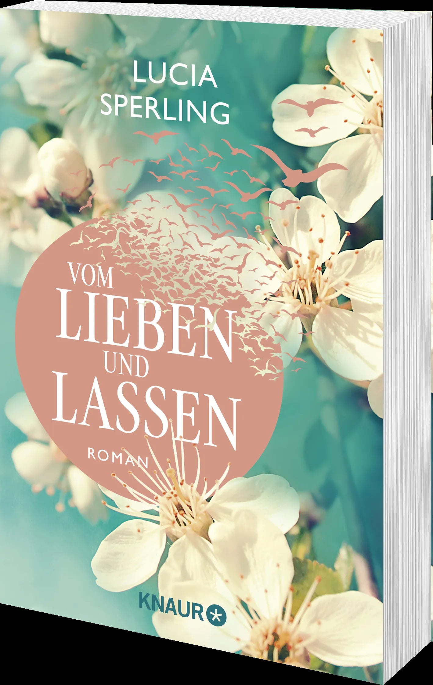 Produktansicht: Vom Lieben und Lassen (Taschenbuch)