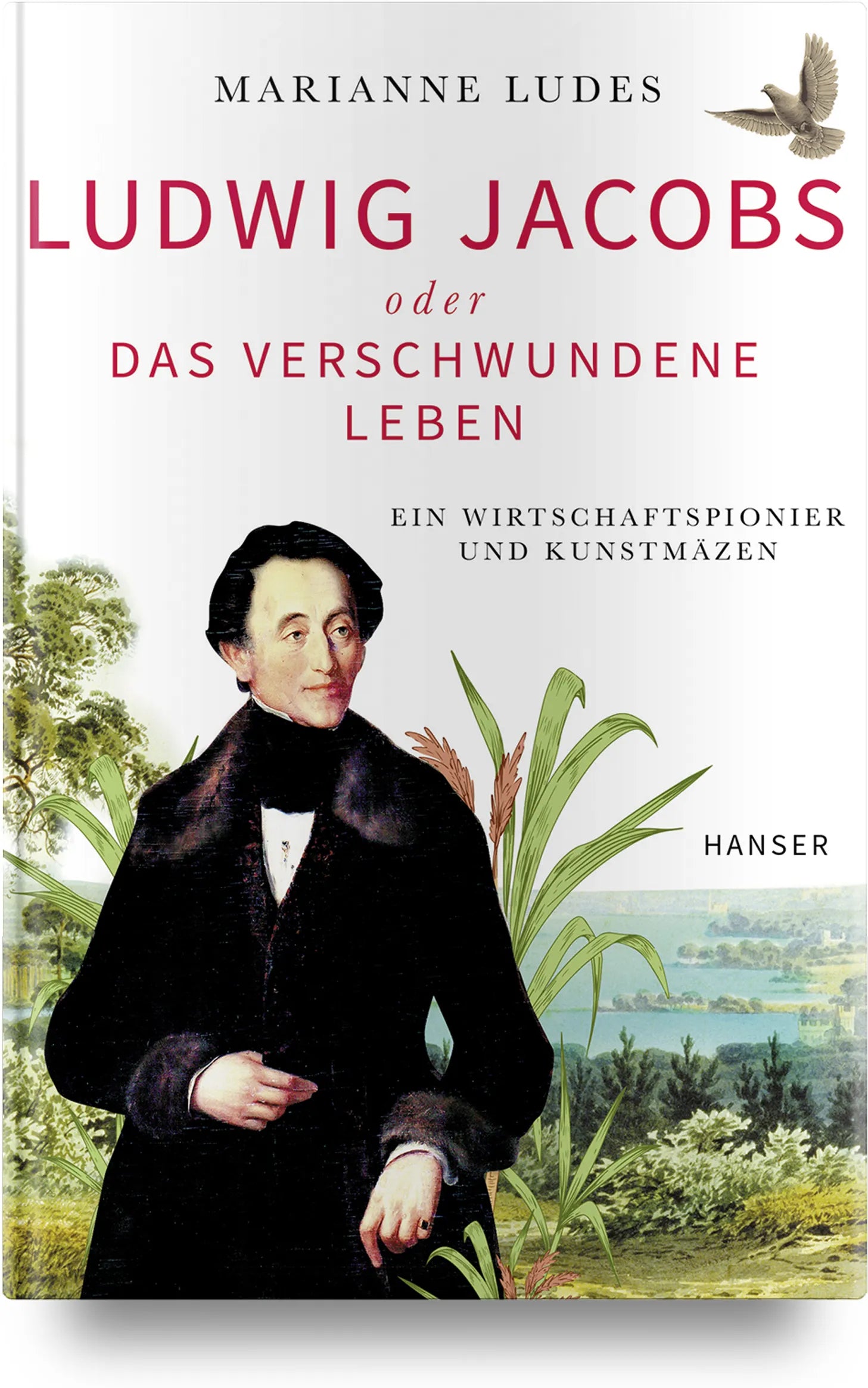 Buchcover von 'Ludwig Jacobs oder das verschwundene Leben' - Gebundene Ausgabe von Marianne Ludes