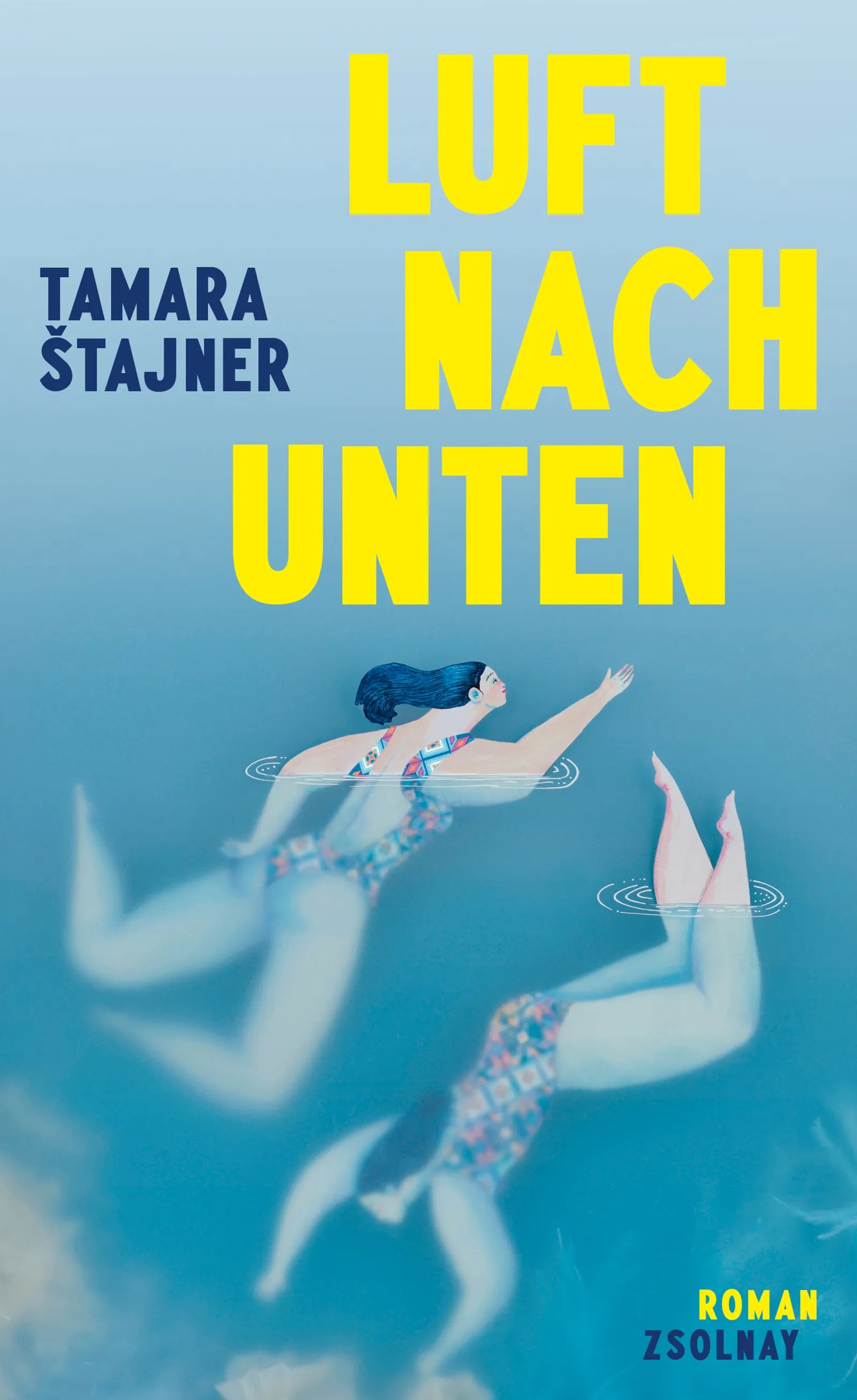 Cover: Luft nach unten (E-Book) von Tamara Stajner