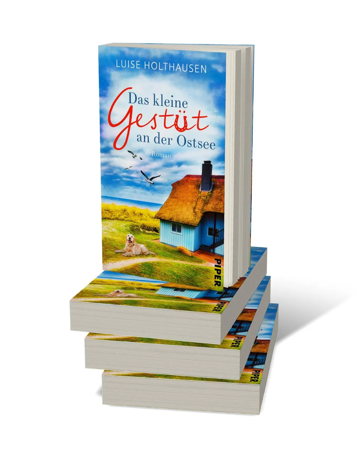 Produktansicht: Das kleine Gestüt an der Ostsee (Taschenbuch)