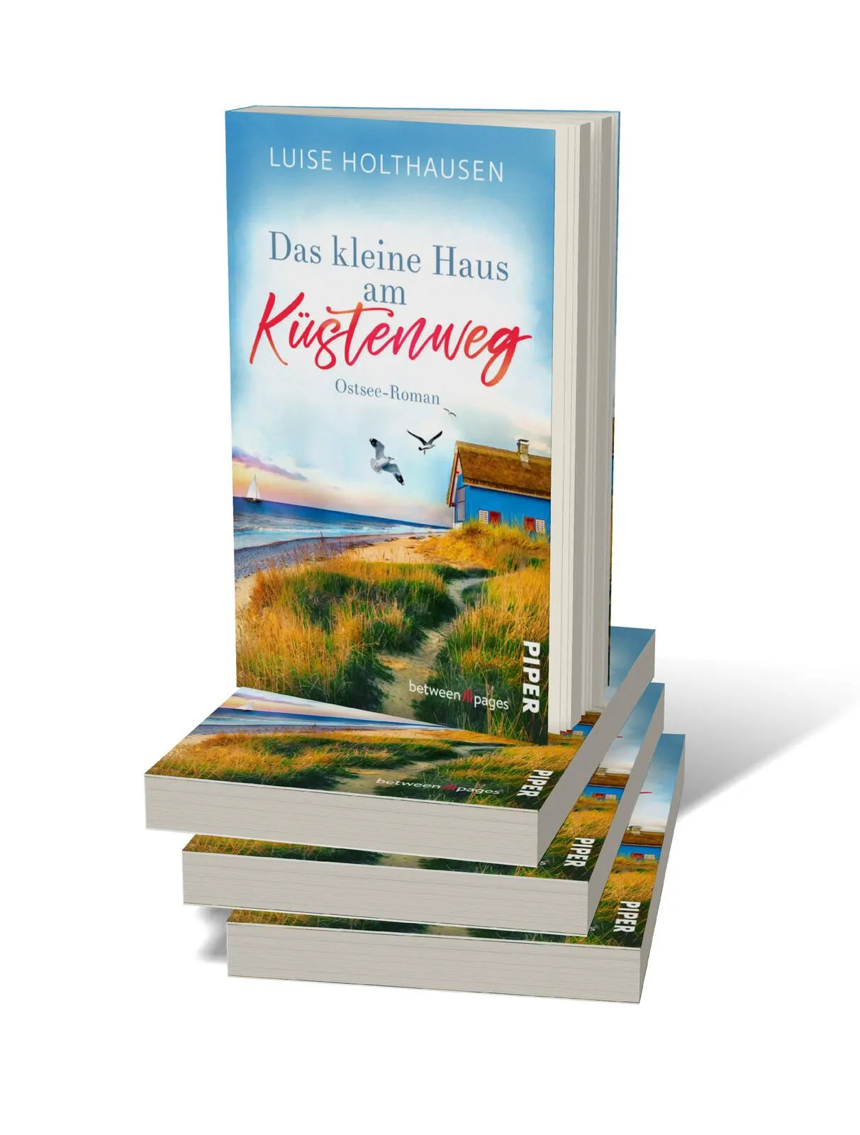 Produktansicht: Das kleine Haus am Küstenweg (Taschenbuch)