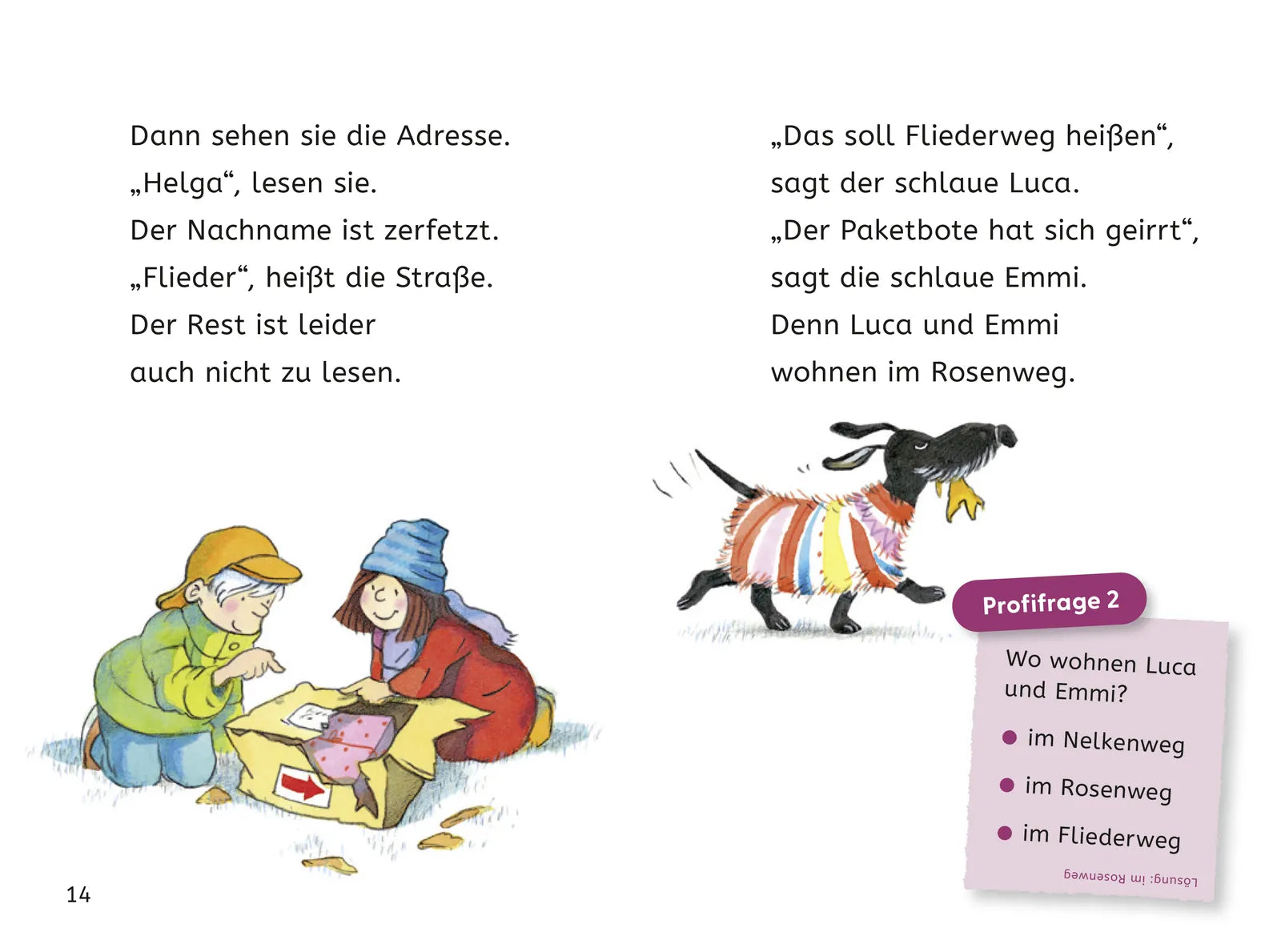 Produktansicht: Leseprofis – Das schönste Weihnachtsgeschenk der Welt, 1. Klasse (Gebundene Ausgabe)