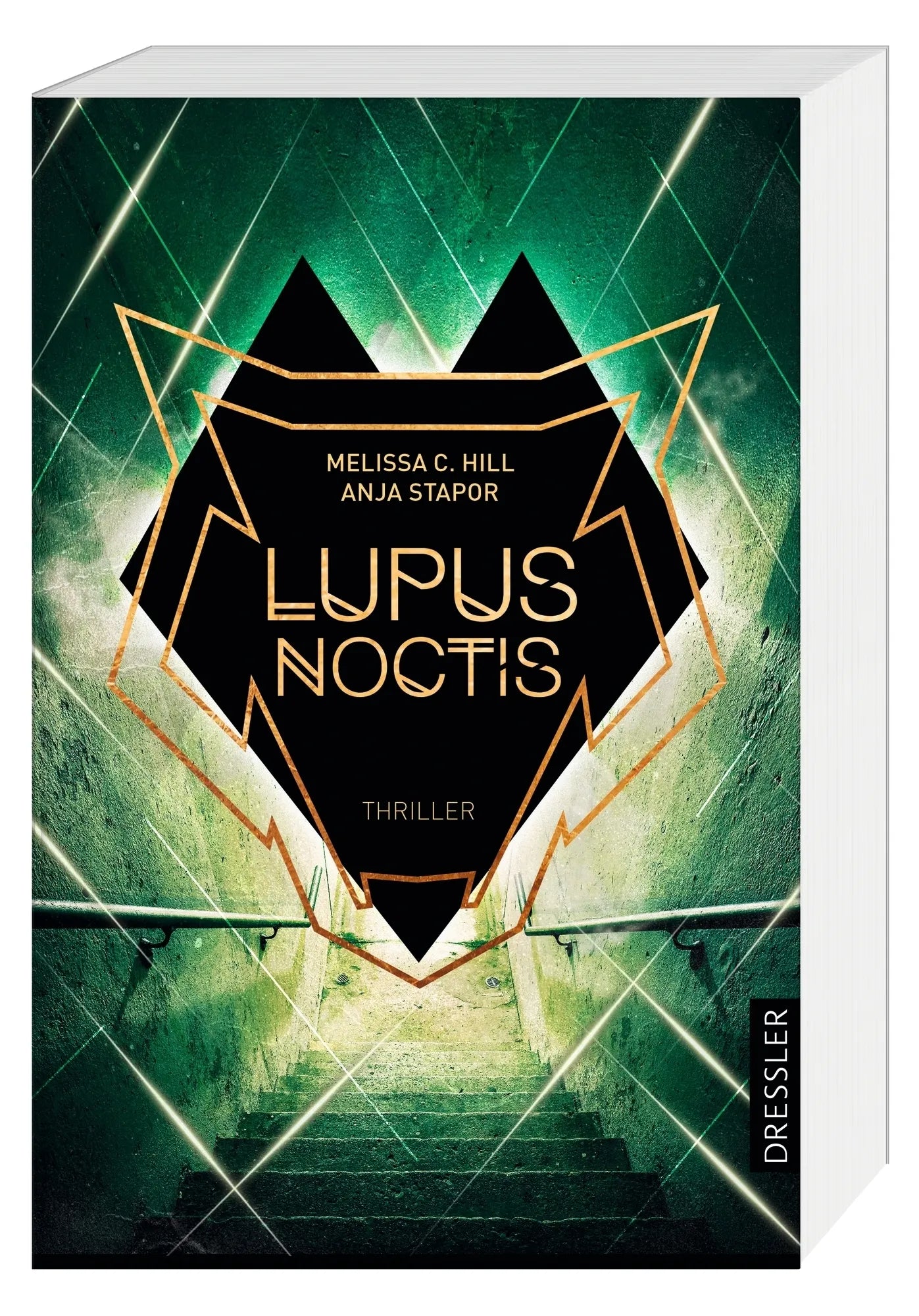 Detailansicht: Lupus Noctis (Taschenbuch)