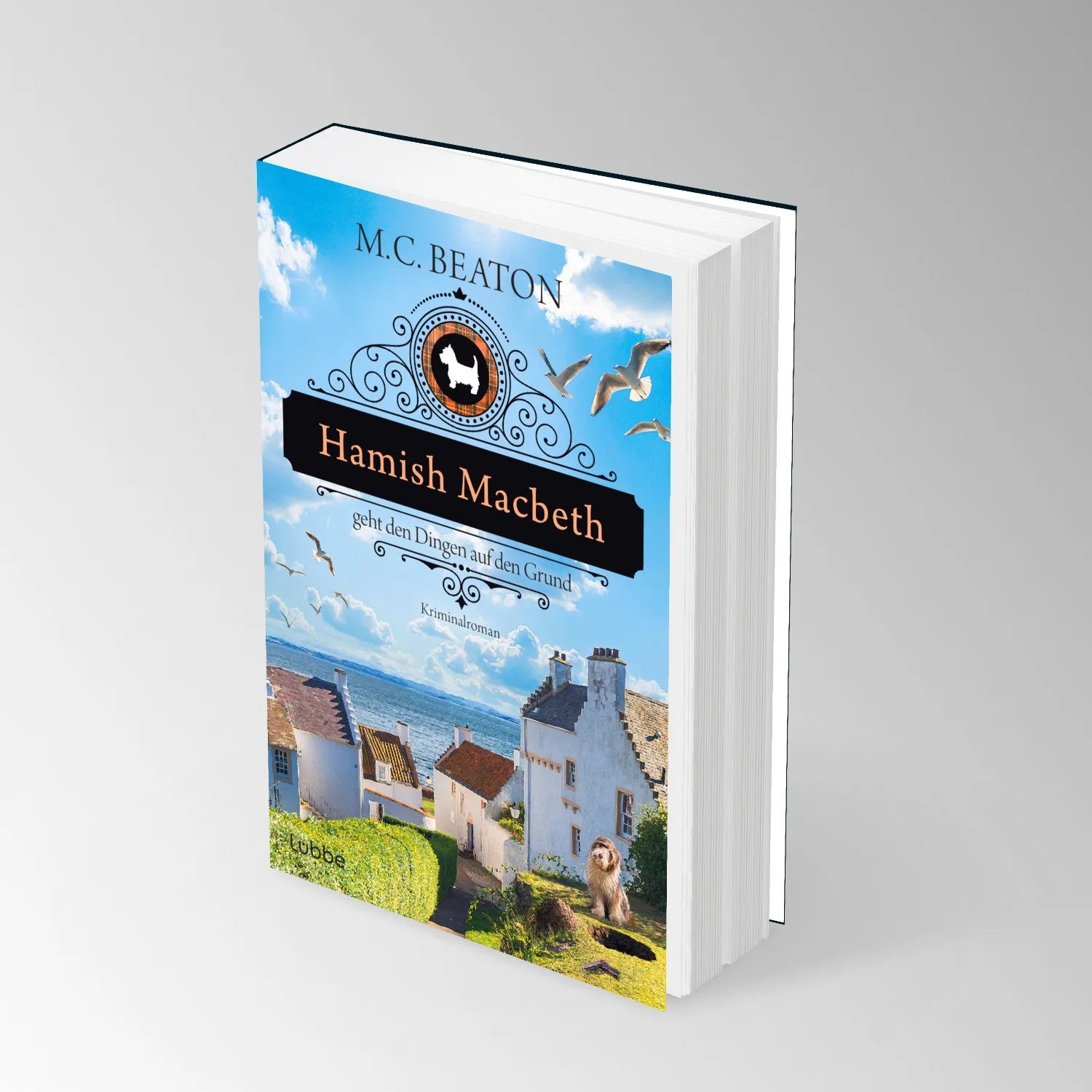 Produktansicht: Hamish Macbeth geht den Dingen auf den Grund (Taschenbuch)