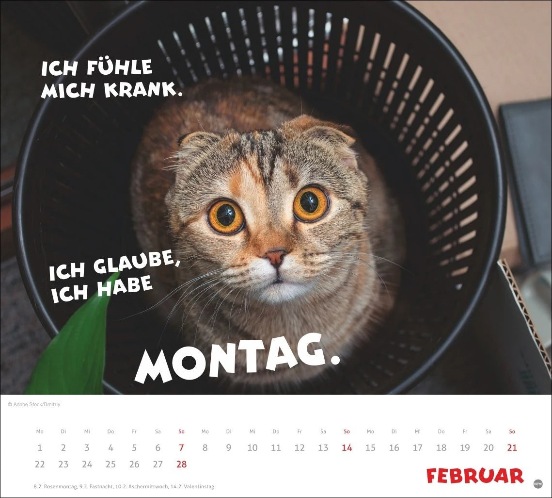 Mach mal Pause Bildkalender 2027 – Ansicht