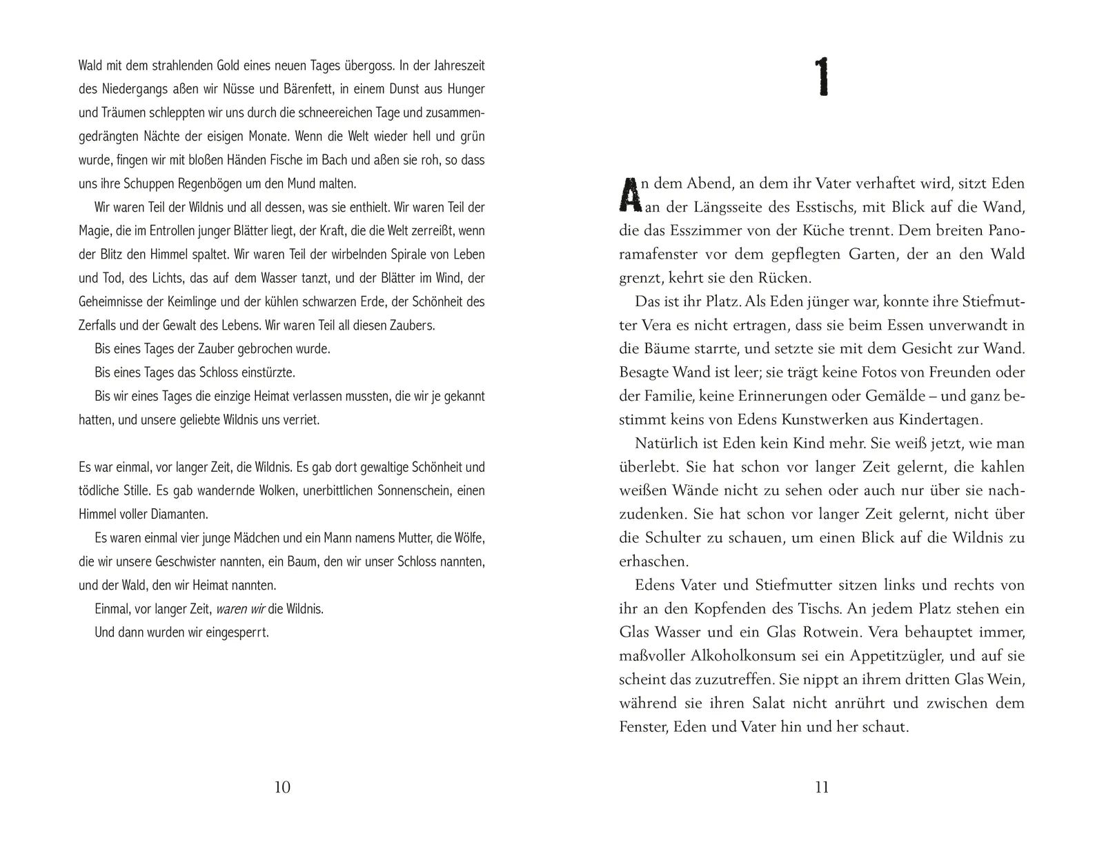 Produktansicht: The Wilderness of Girls (Gebundene Ausgabe)