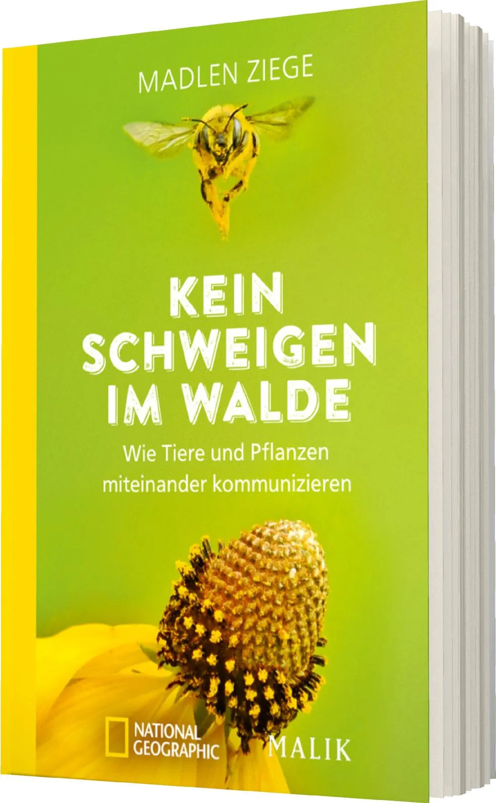 Produktansicht: Kein Schweigen im Walde (Taschenbuch)