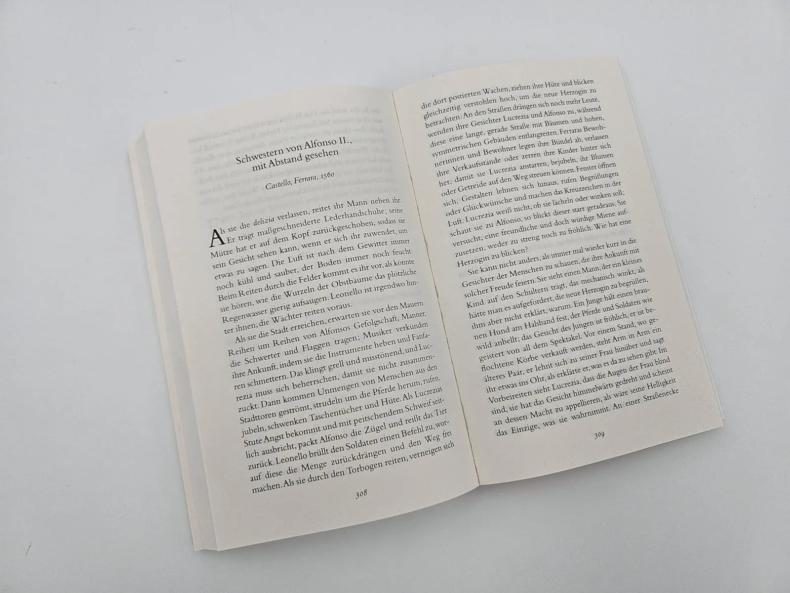 Produktansicht: Porträt einer Ehe (Taschenbuch)