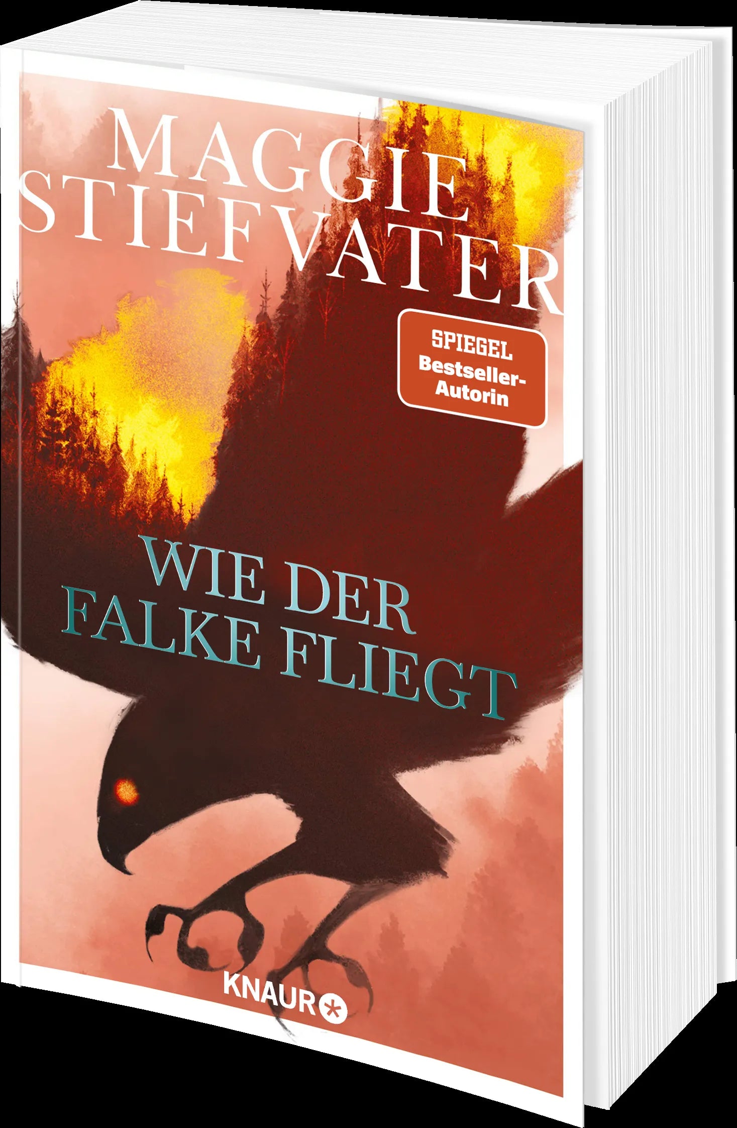 Produktansicht: Wie der Falke fliegt (Paperback)
