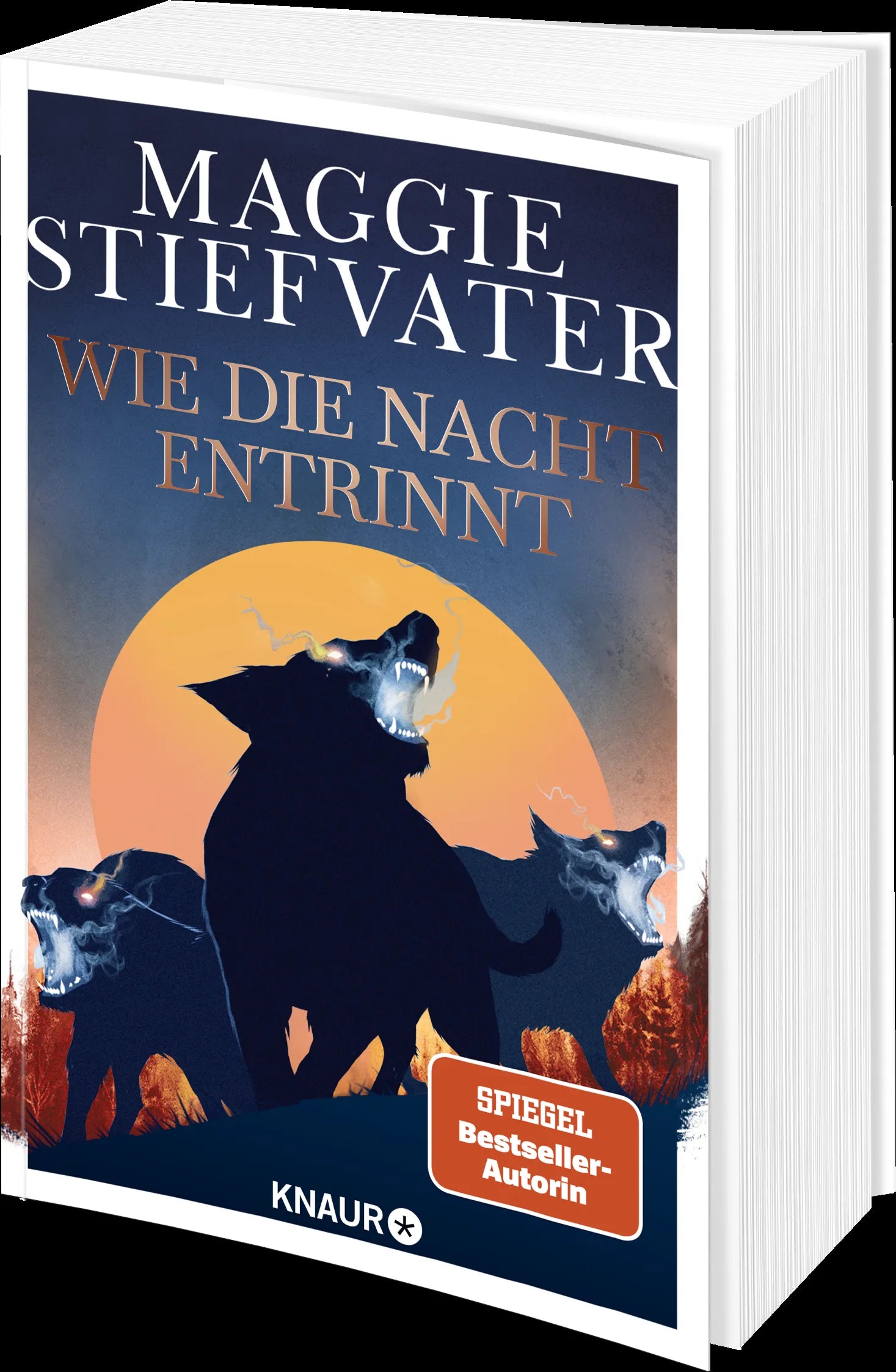 Produktansicht: Wie die Nacht entrinnt (Paperback)