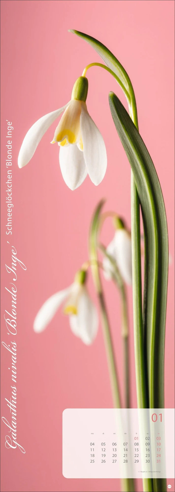Magic Flowers Vertical Kalender 2027 – Ansicht