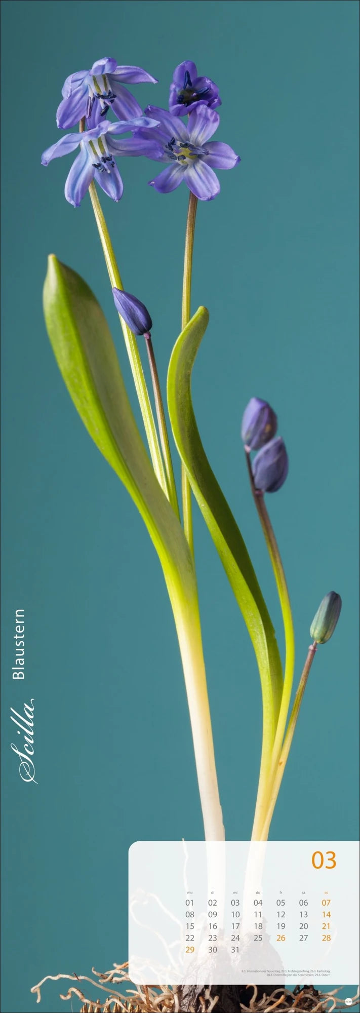 Magic Flowers Vertical Kalender 2027 – Ansicht