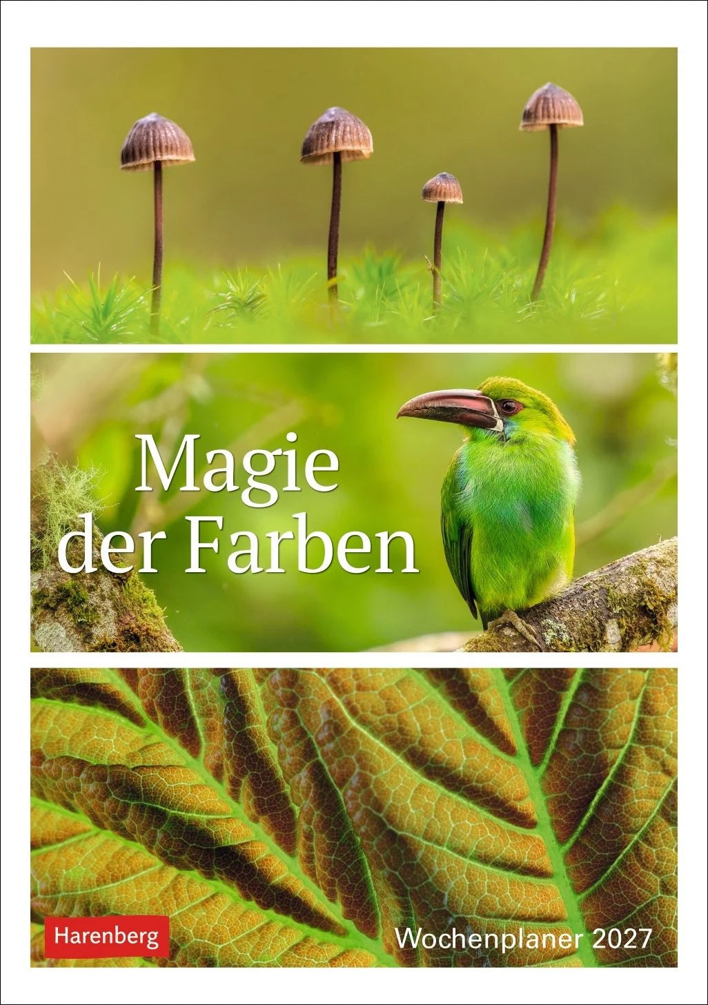 Taschenkalender: Magie der Farben Wochenplaner 2027