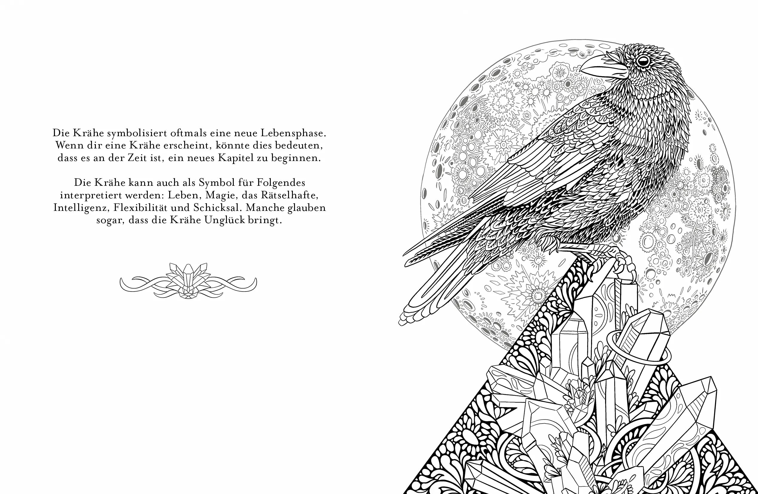 Innenansicht von 'Magie ist überall' - Taschenbuch
