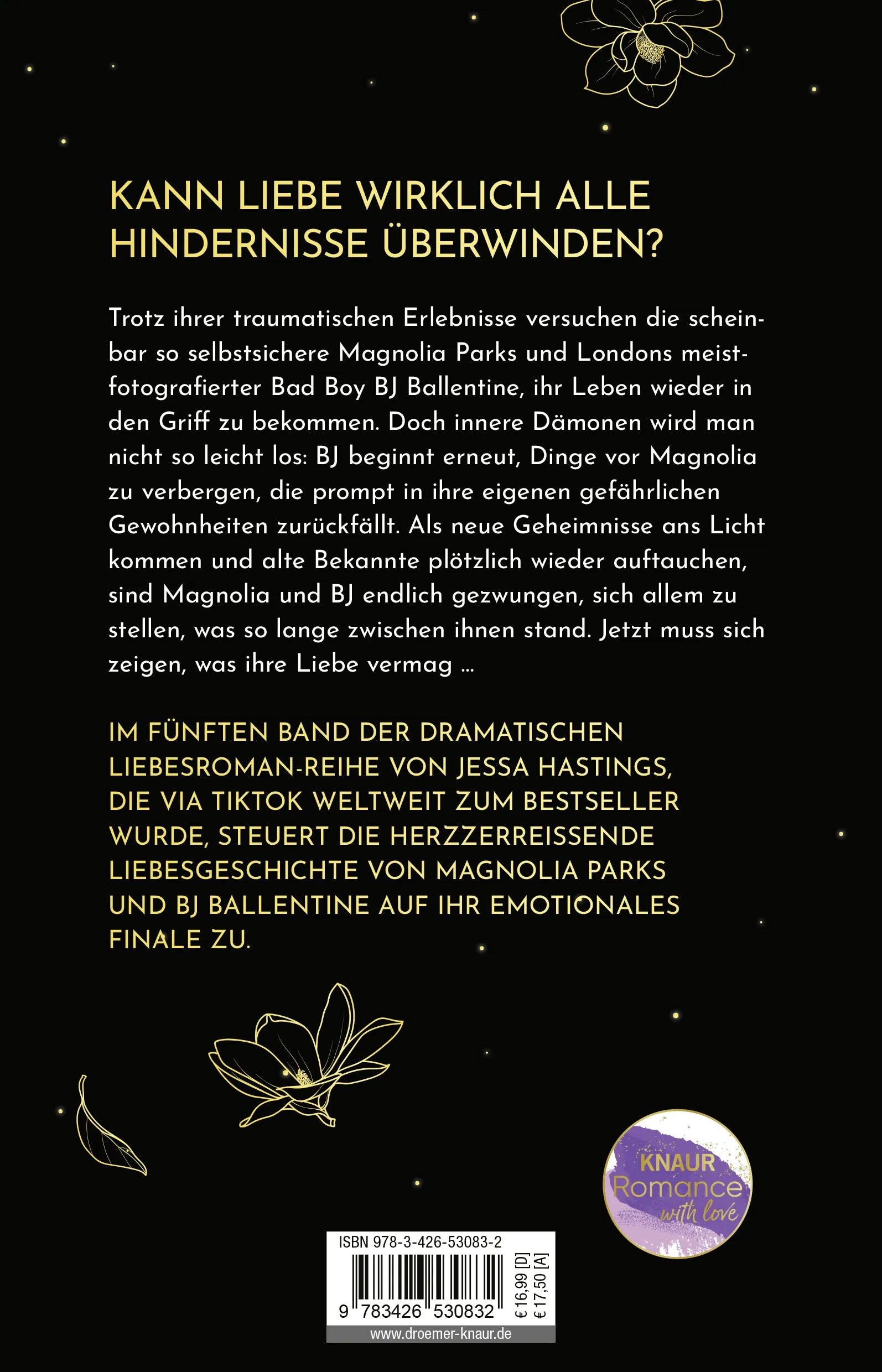 Buchrückseite von 'Magnolia Parks - Into the Dark' mit Klappentext - Paperback