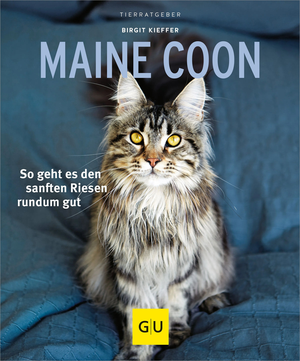 Cover: Maine Coon (Paperback) von Birgit Kieffer