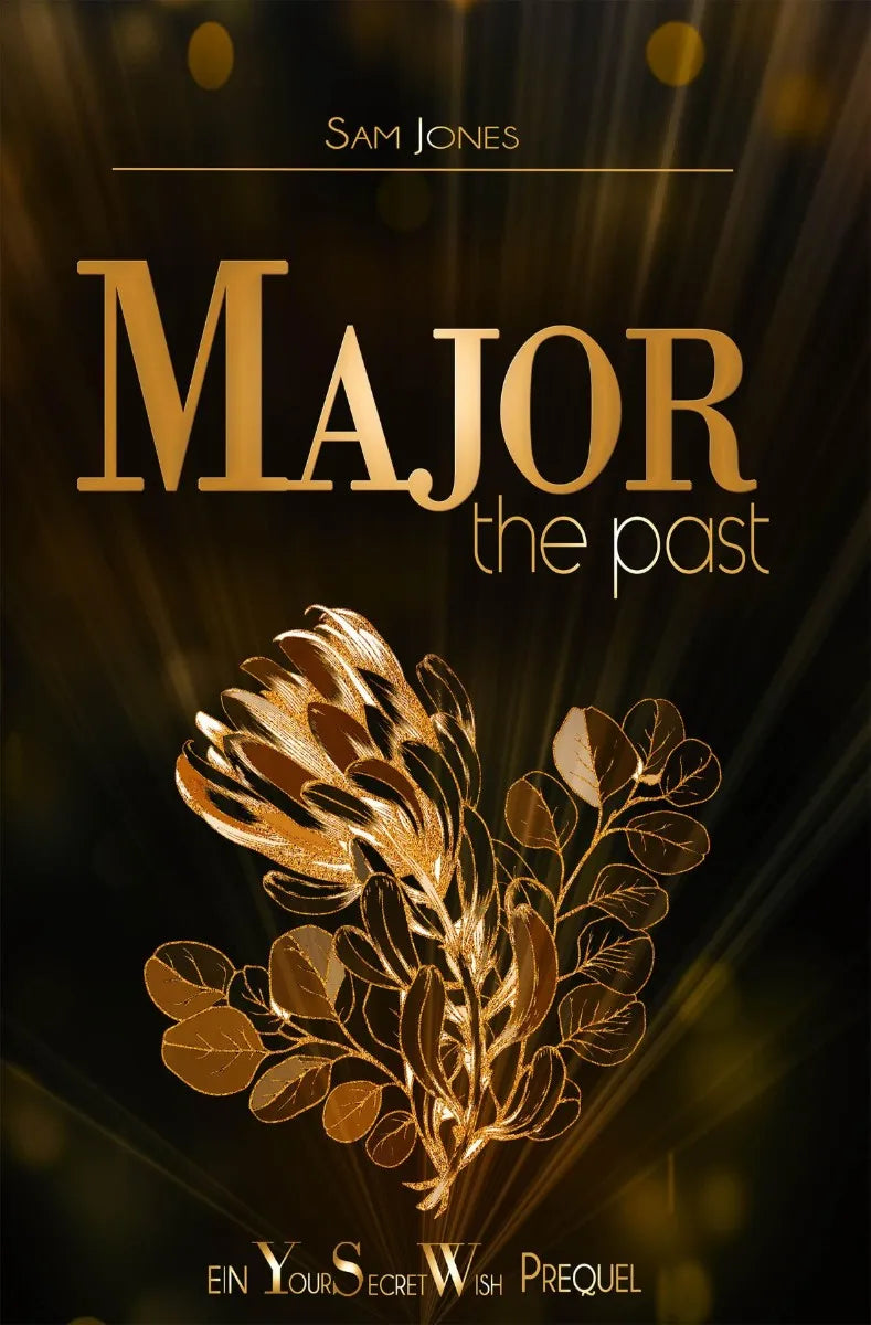 Cover: Major - the past (E-Book) von Sam Jones