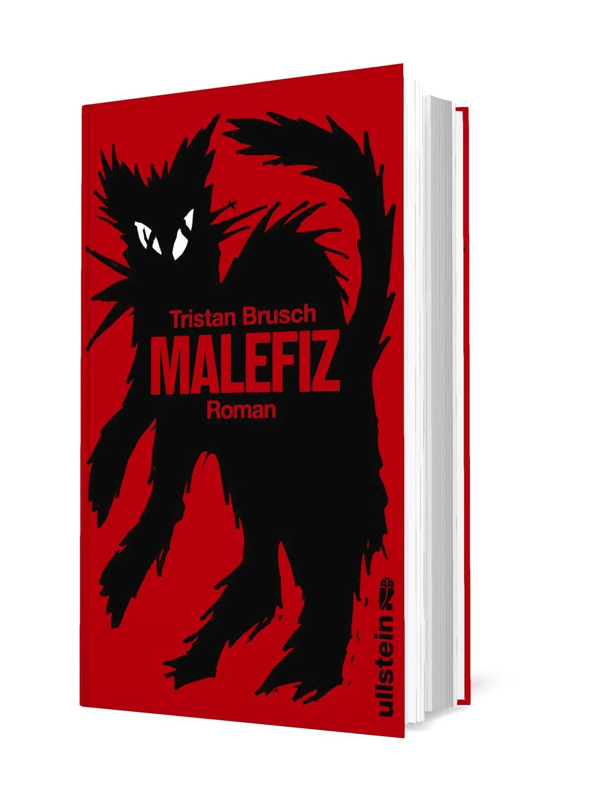 Detailansicht: Malefiz (Hardcover)