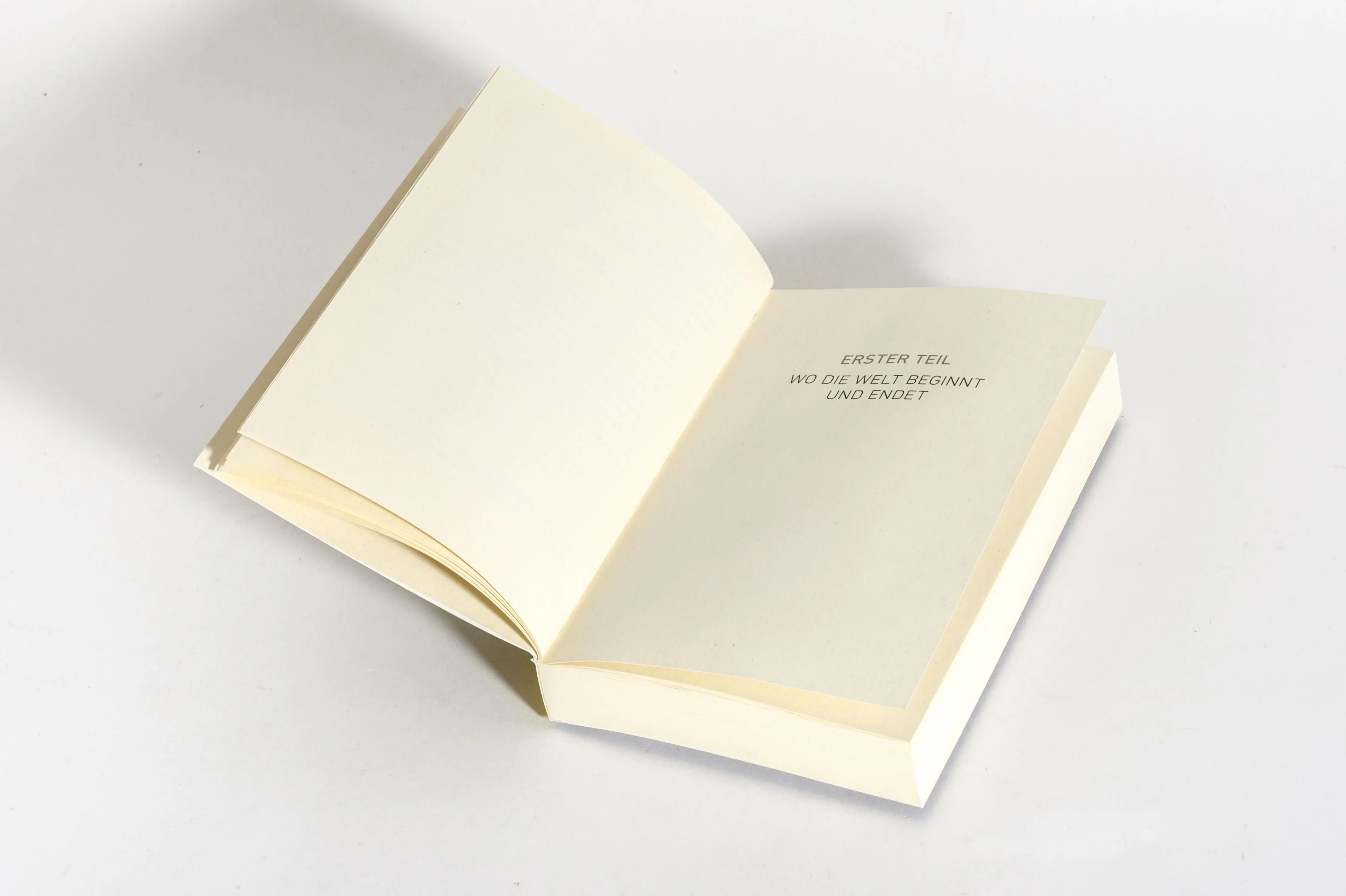 Detailansicht: Malnata (Taschenbuch)