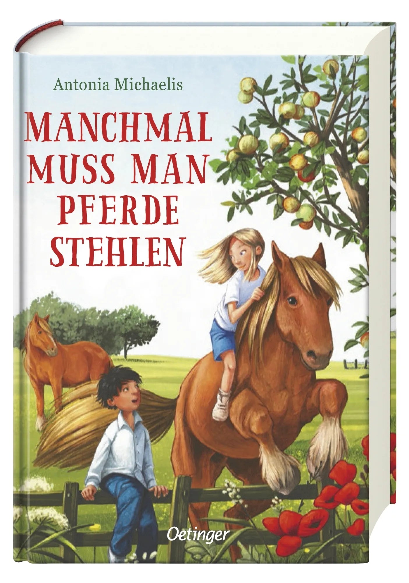 Abbildung von 'Manchmal muss man Pferde stehlen'