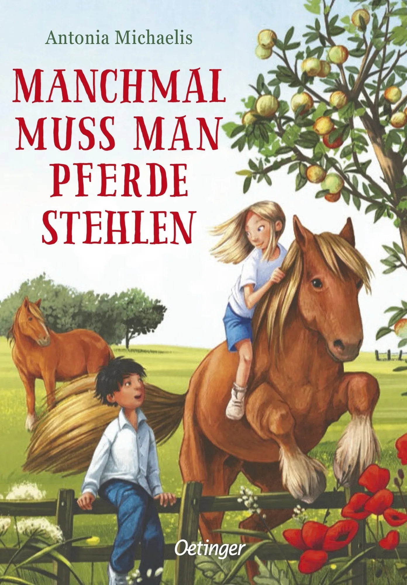 Buchcover von 'Manchmal muss man Pferde stehlen' - Gebundene Ausgabe von Antonia Michaelis