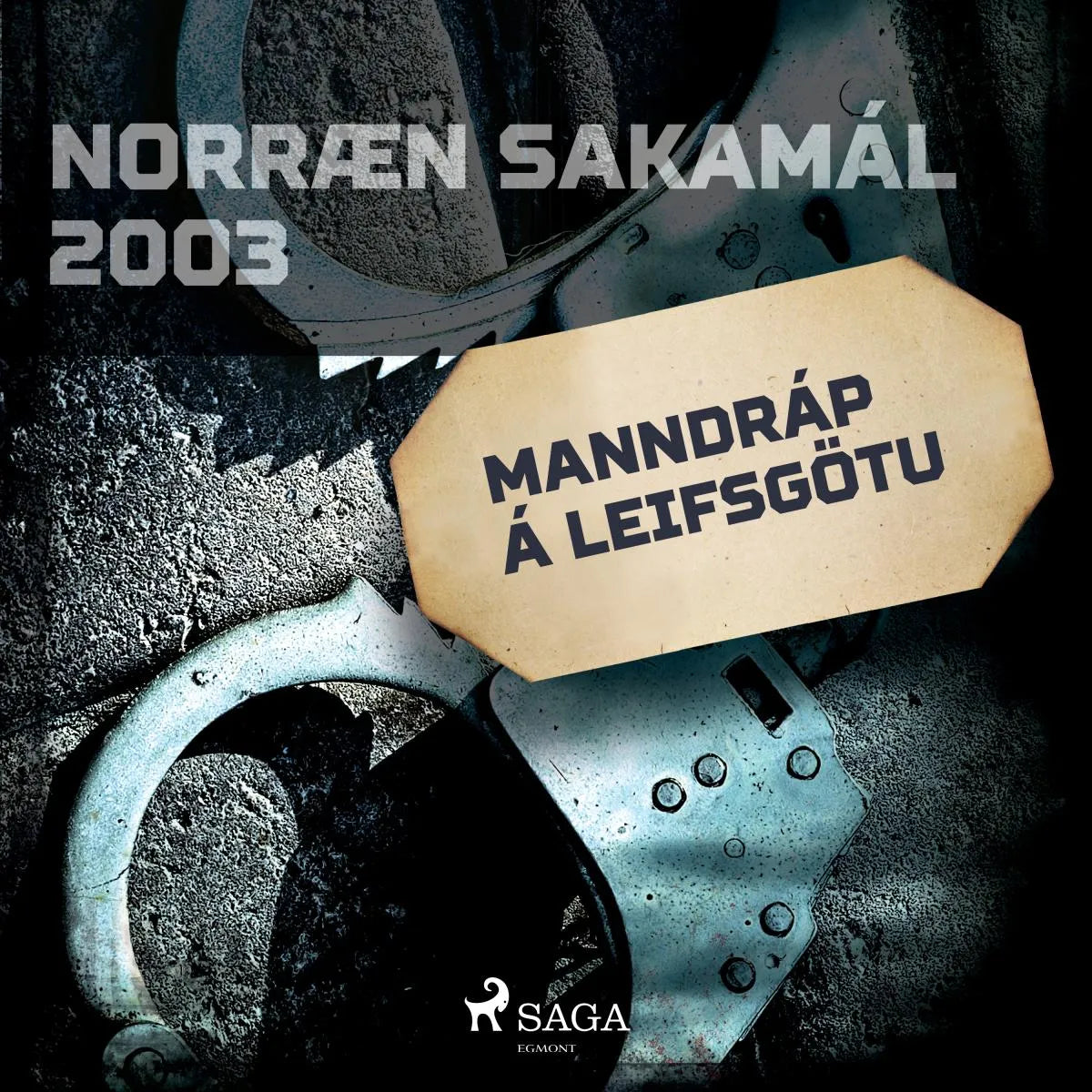 Cover: Manndráp á Leifsgötu (Hörbuch Download) von Ýmsir