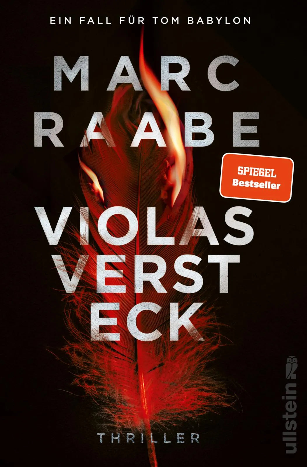 Produktansicht: Violas Versteck (Paperback)