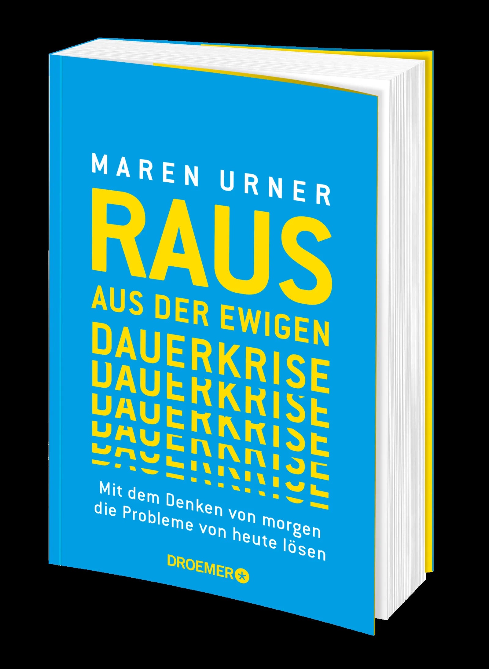 Produktansicht: Raus aus der ewigen Dauerkrise (Paperback)