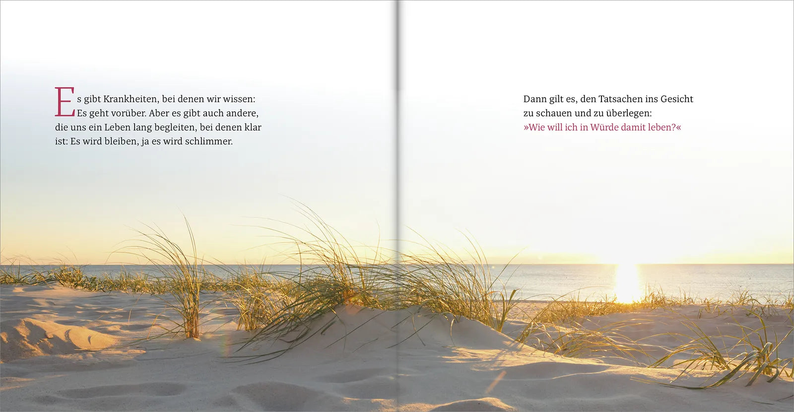 Produktansicht: Gute Besserung (Gebundene Ausgabe)