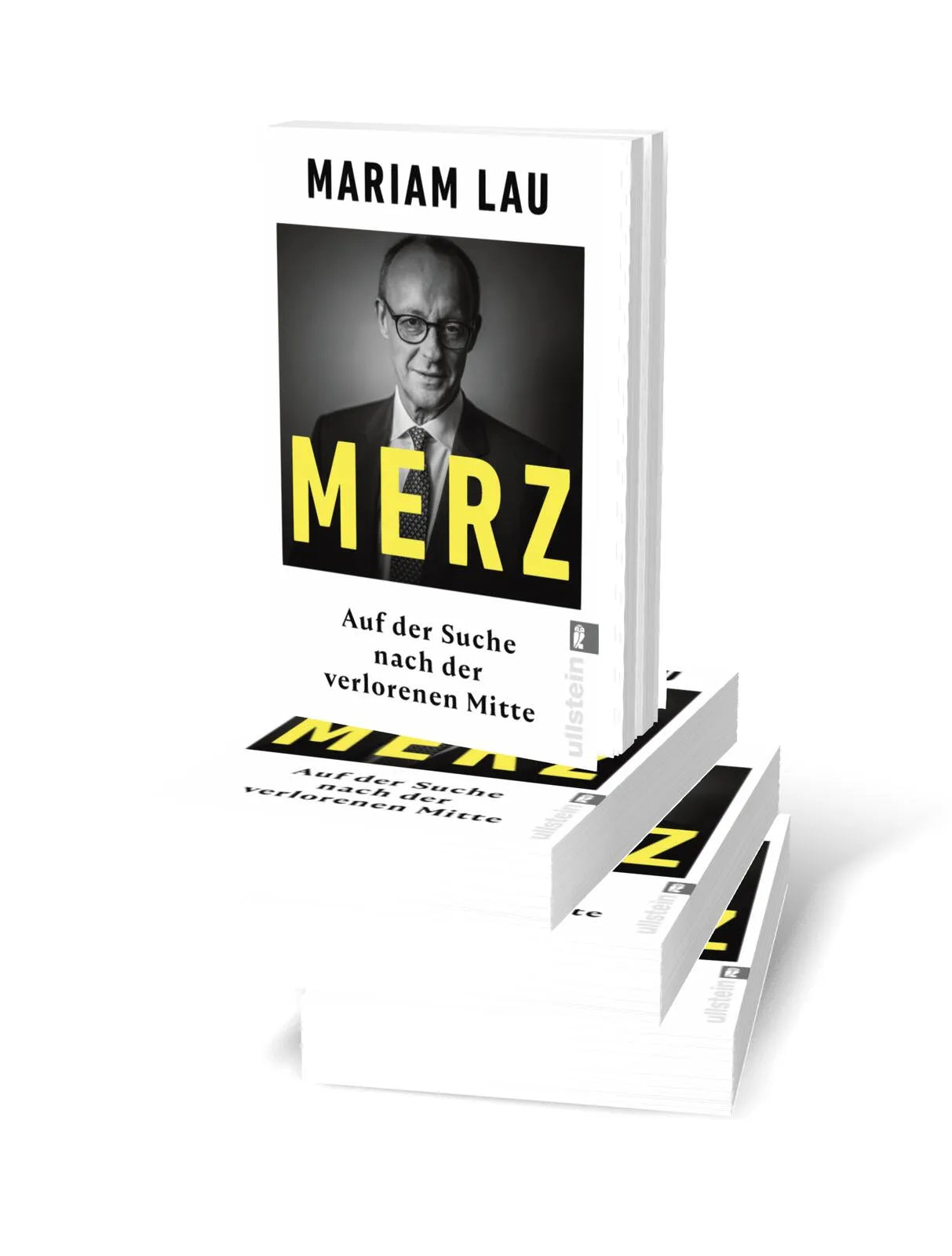 Produktansicht: Merz (Taschenbuch)