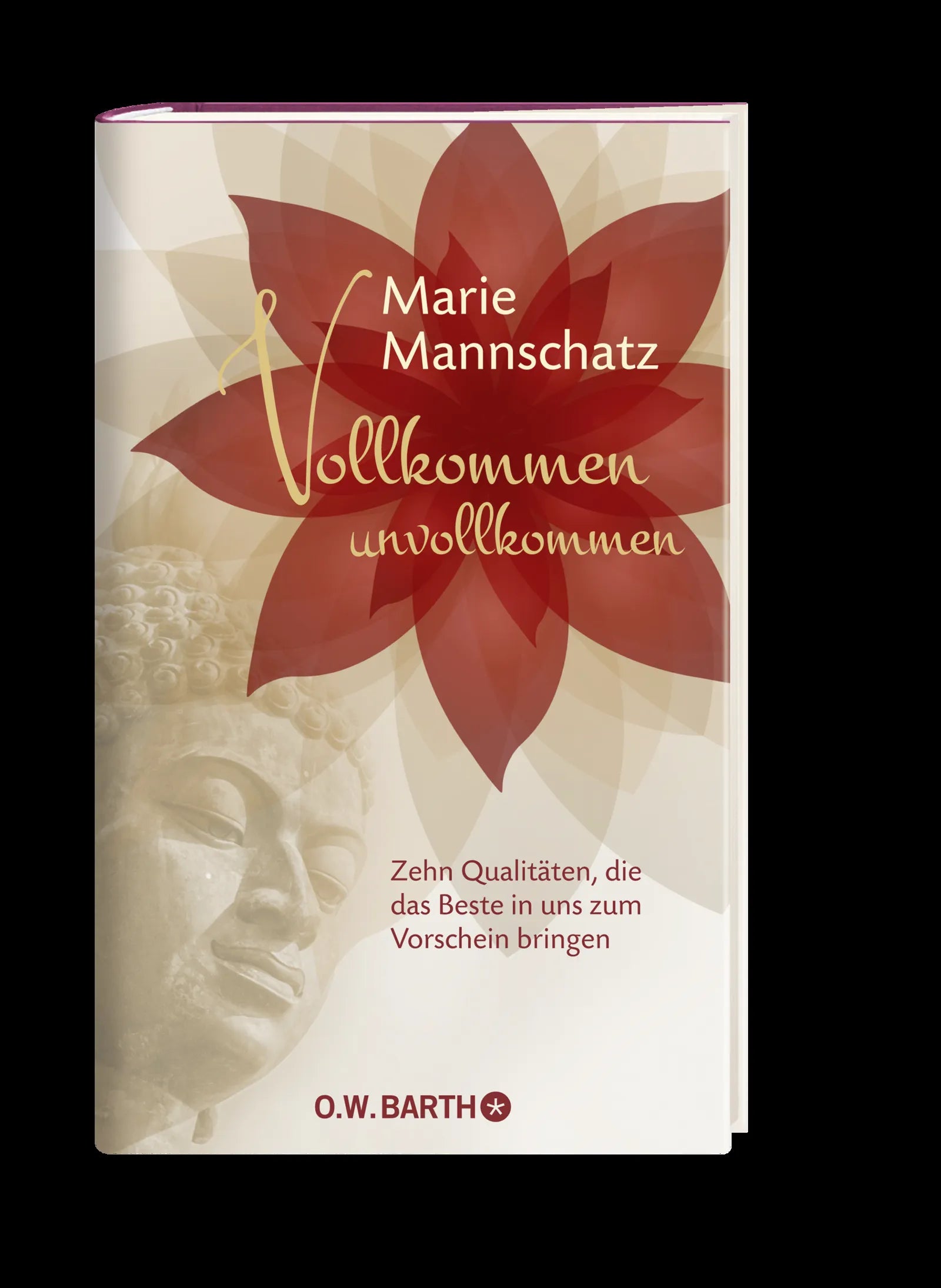 Produktansicht: Vollkommen unvollkommen (Gebundene Ausgabe)