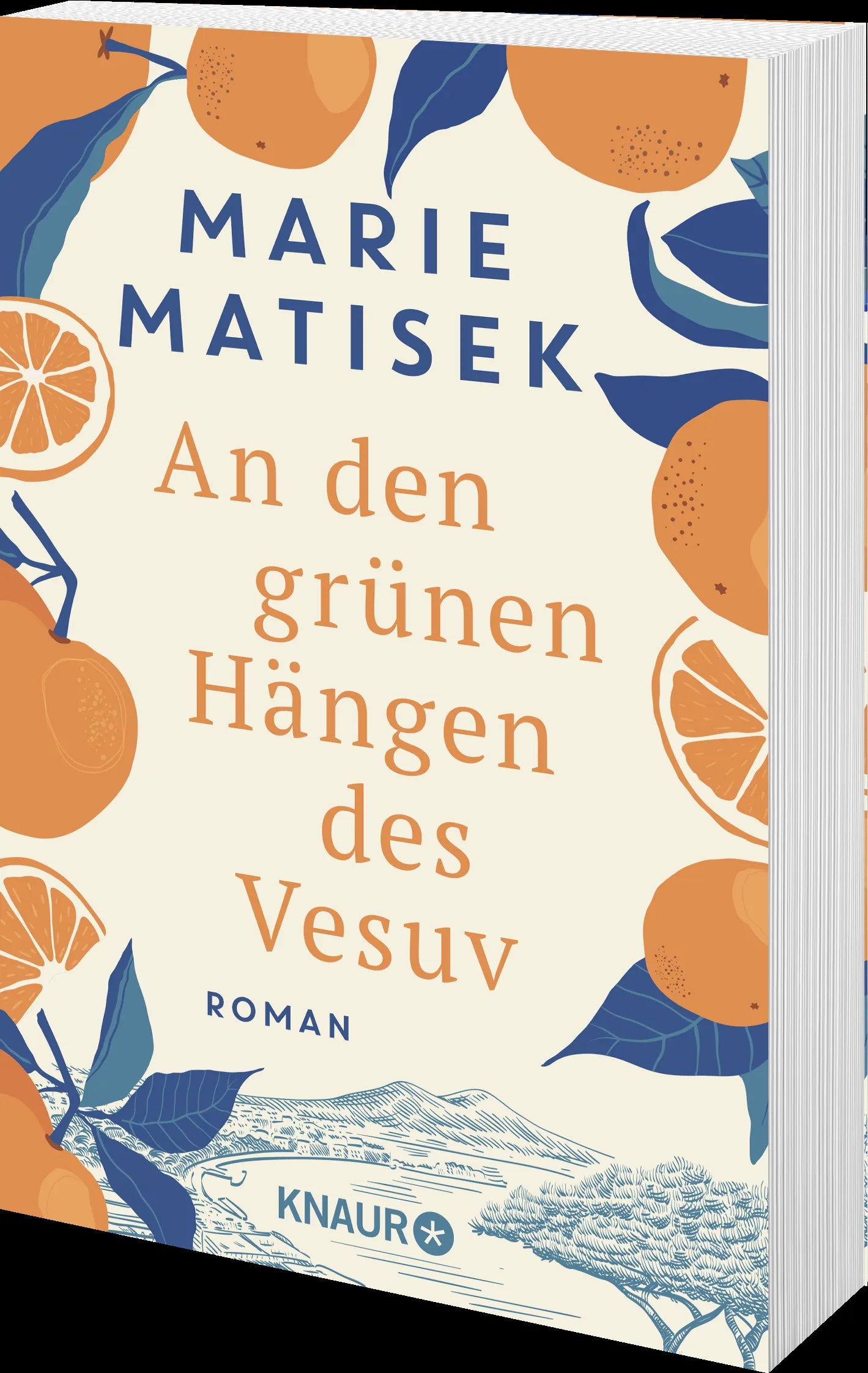 Produktansicht: An den grünen Hängen des Vesuv (Taschenbuch)