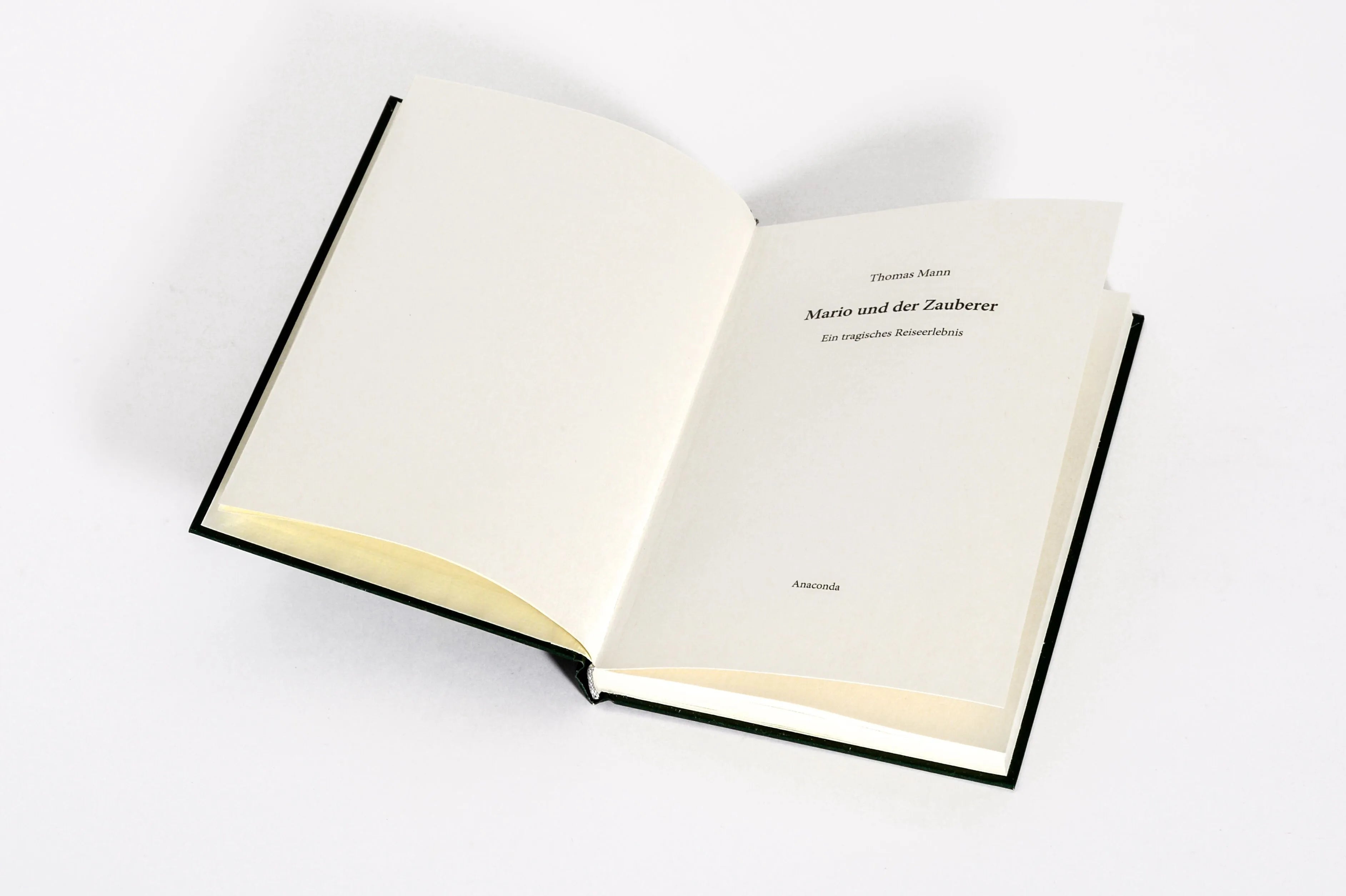 Detailansicht: Mario und der Zauberer (Hardcover)