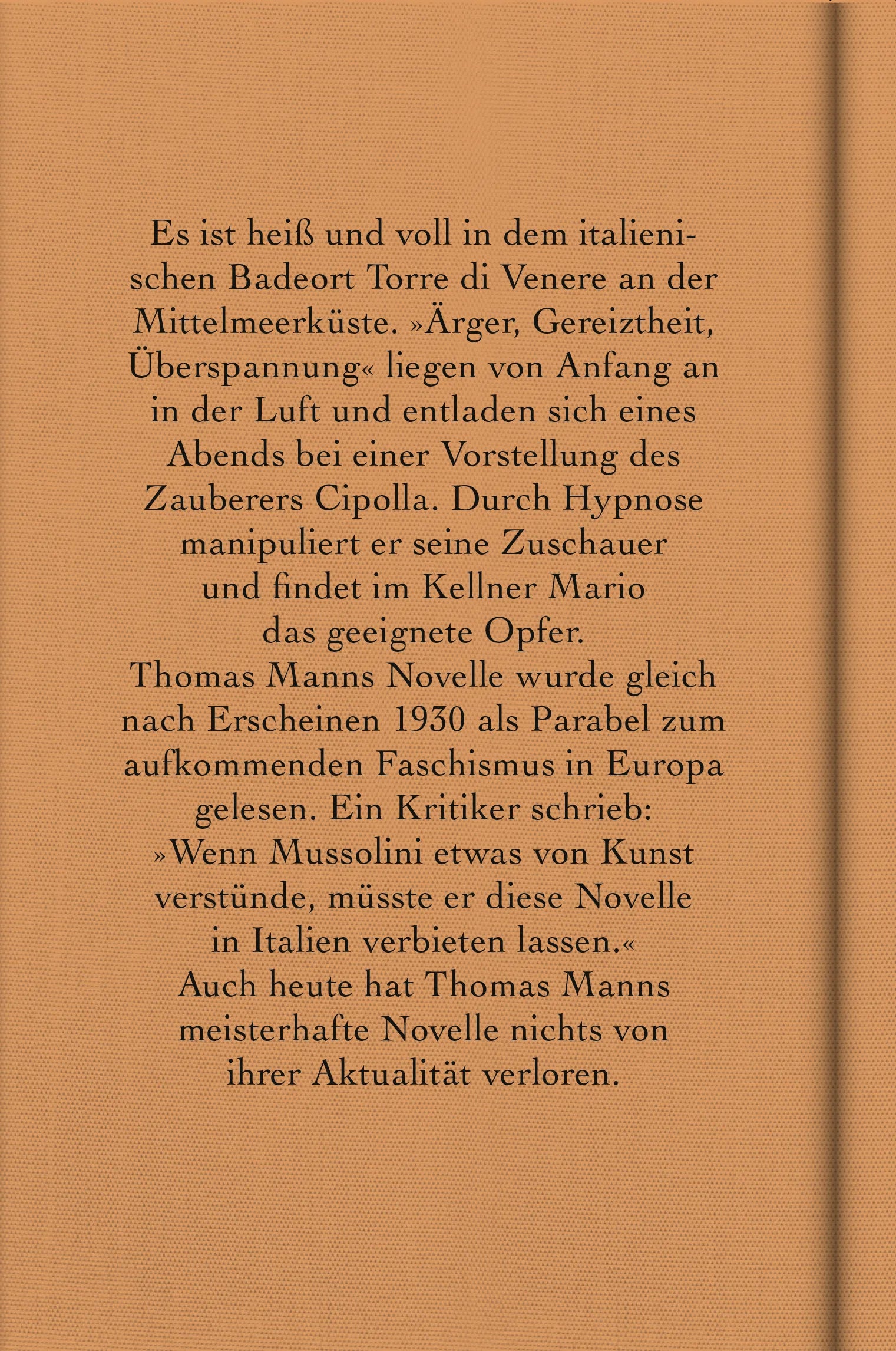 Buchrückseite von 'Mario und der Zauberer' mit Klappentext - Gebundene Ausgabe