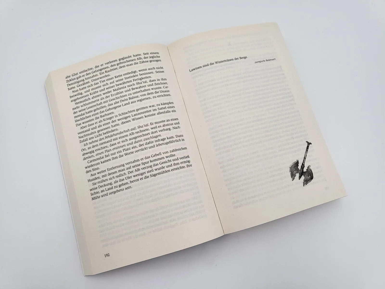 Produktansicht: Der Triumph der Zwerge (Taschenbuch)