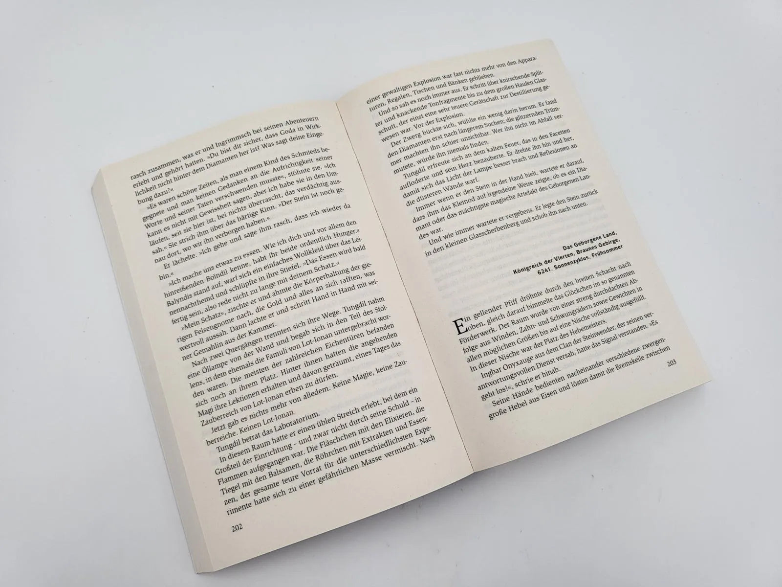 Produktansicht: Die Rache der Zwerge (Taschenbuch)