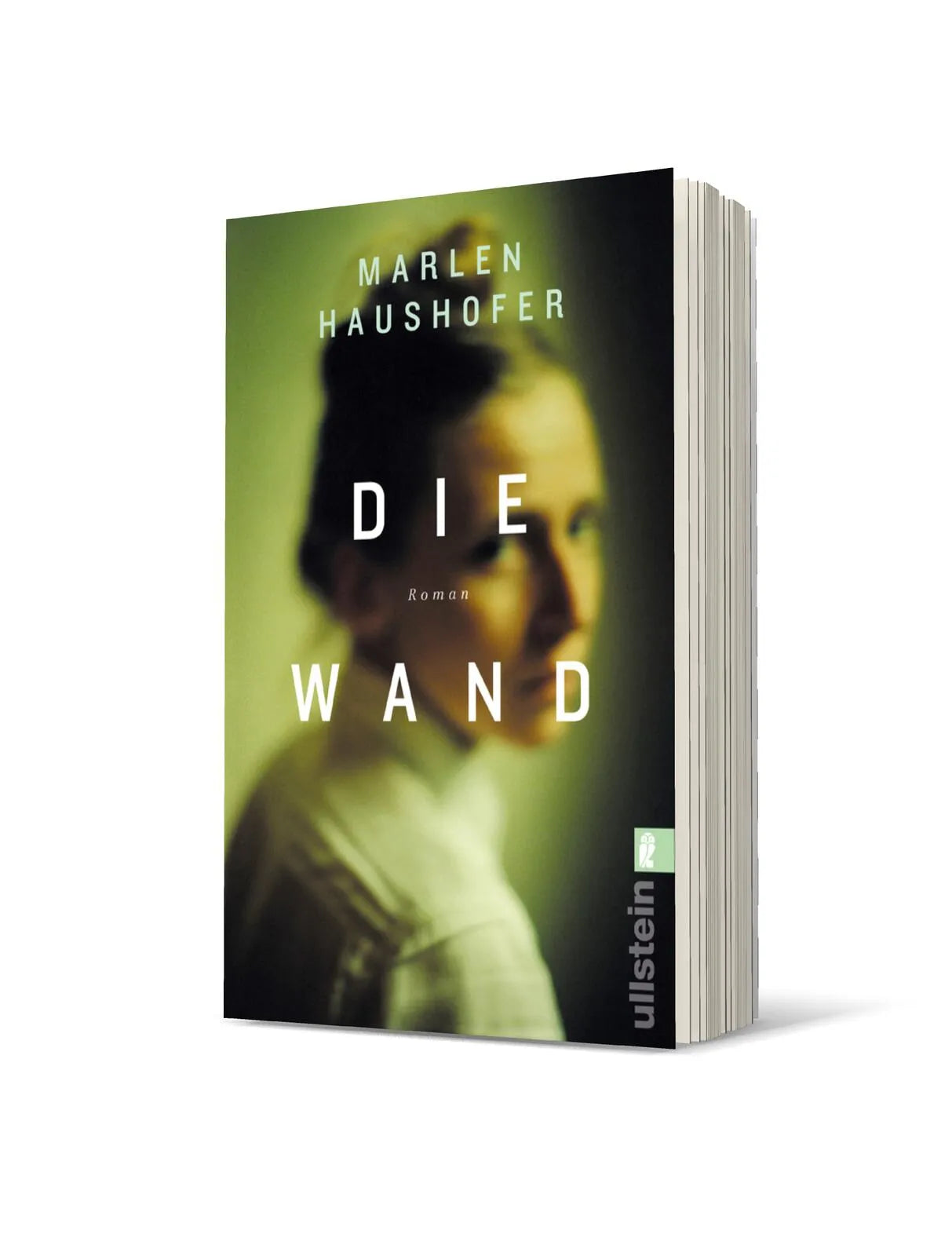 Produktansicht: Die Wand (Taschenbuch)