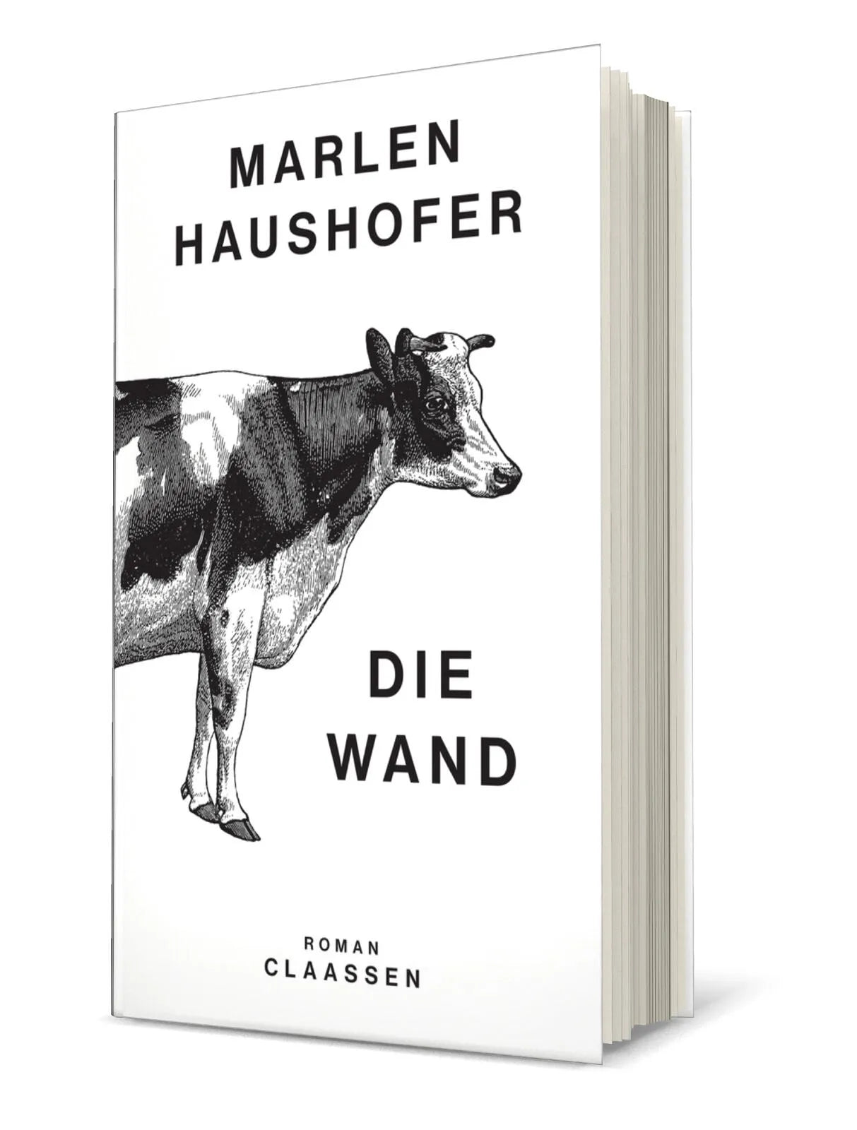 Produktansicht: Die Wand (Gebundene Ausgabe)