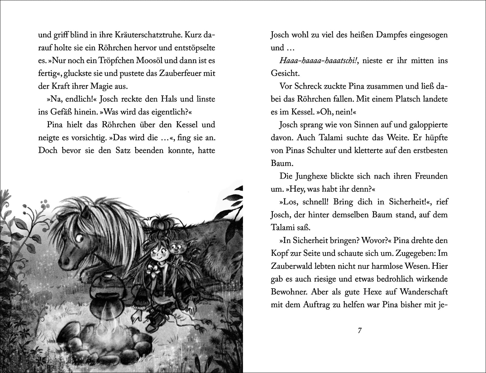Produktansicht: Pina Ponyhexe – Der verlorene Fuchs (Gebundene Ausgabe)
