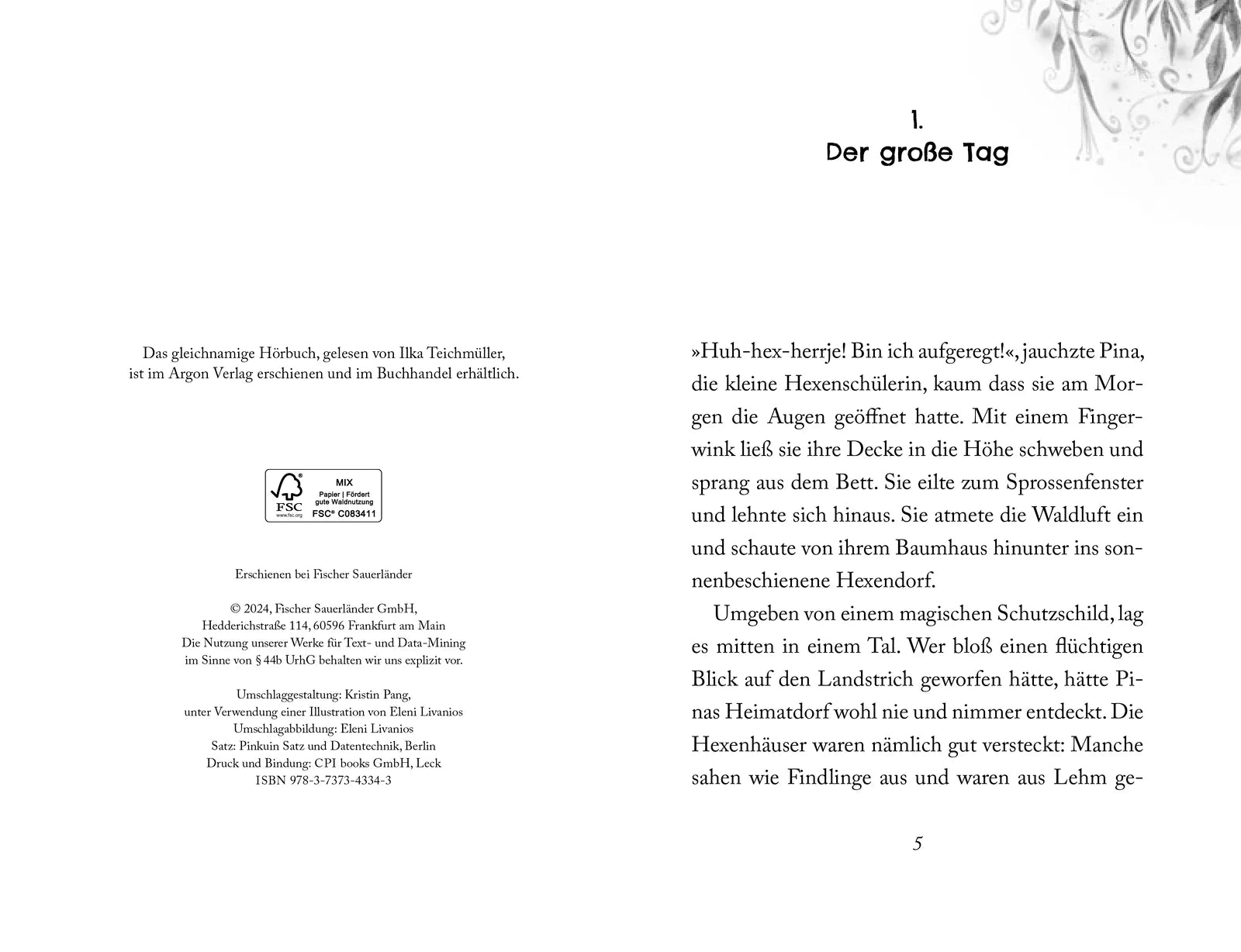 Produktansicht: Pina Ponyhexe – Eine magische Freundschaft (Gebundene Ausgabe)