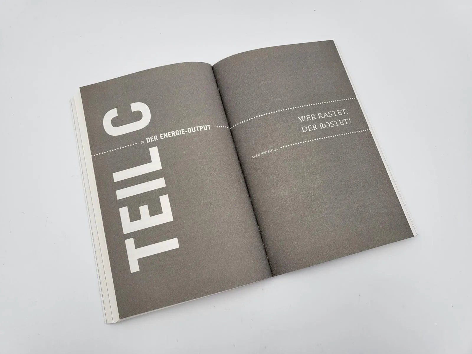 Produktansicht: Mach das! (Taschenbuch)