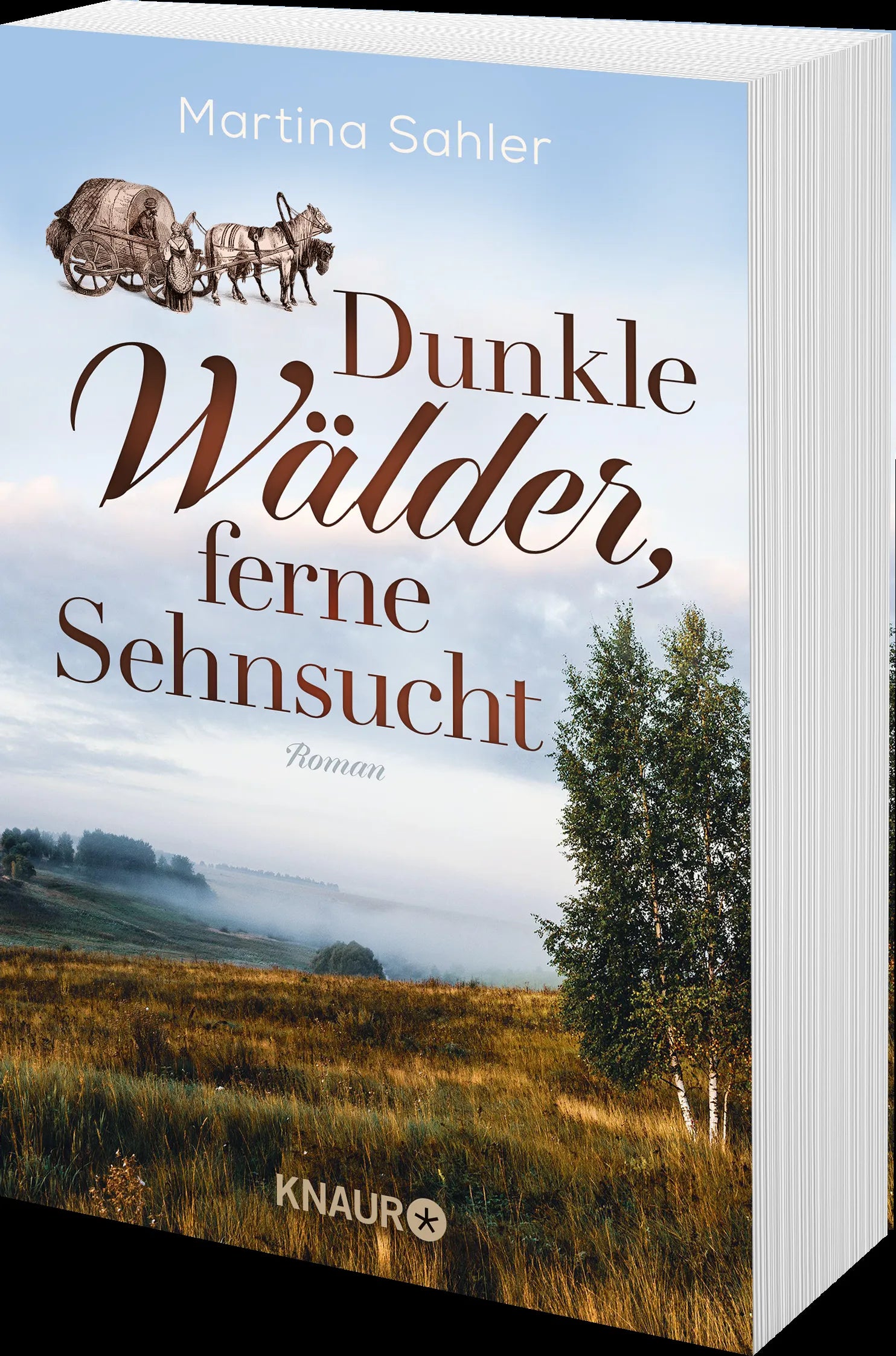 Produktansicht: Dunkle Wälder, ferne Sehnsucht (Taschenbuch)