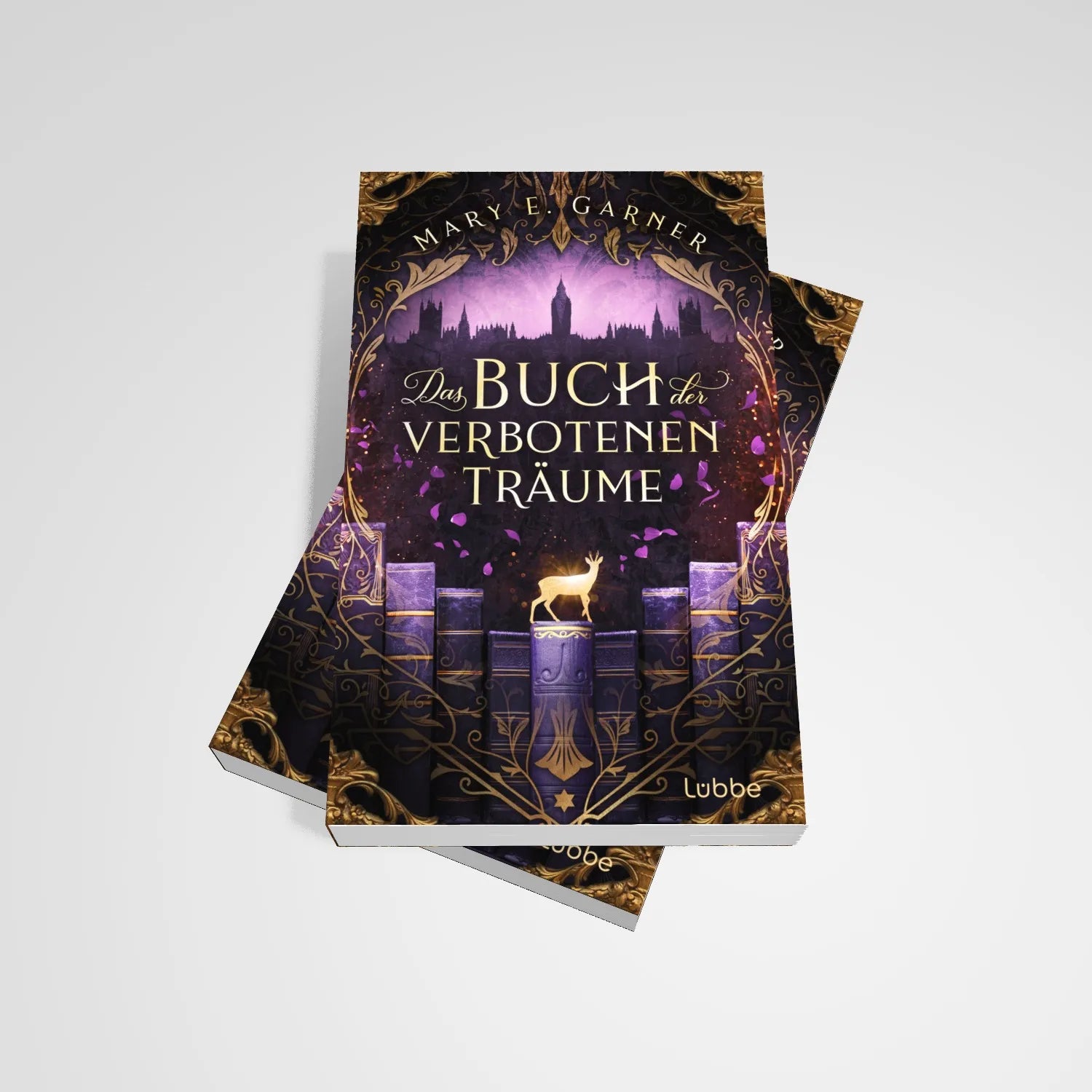 Produktansicht: Das Buch der verbotenen Träume (Paperback)